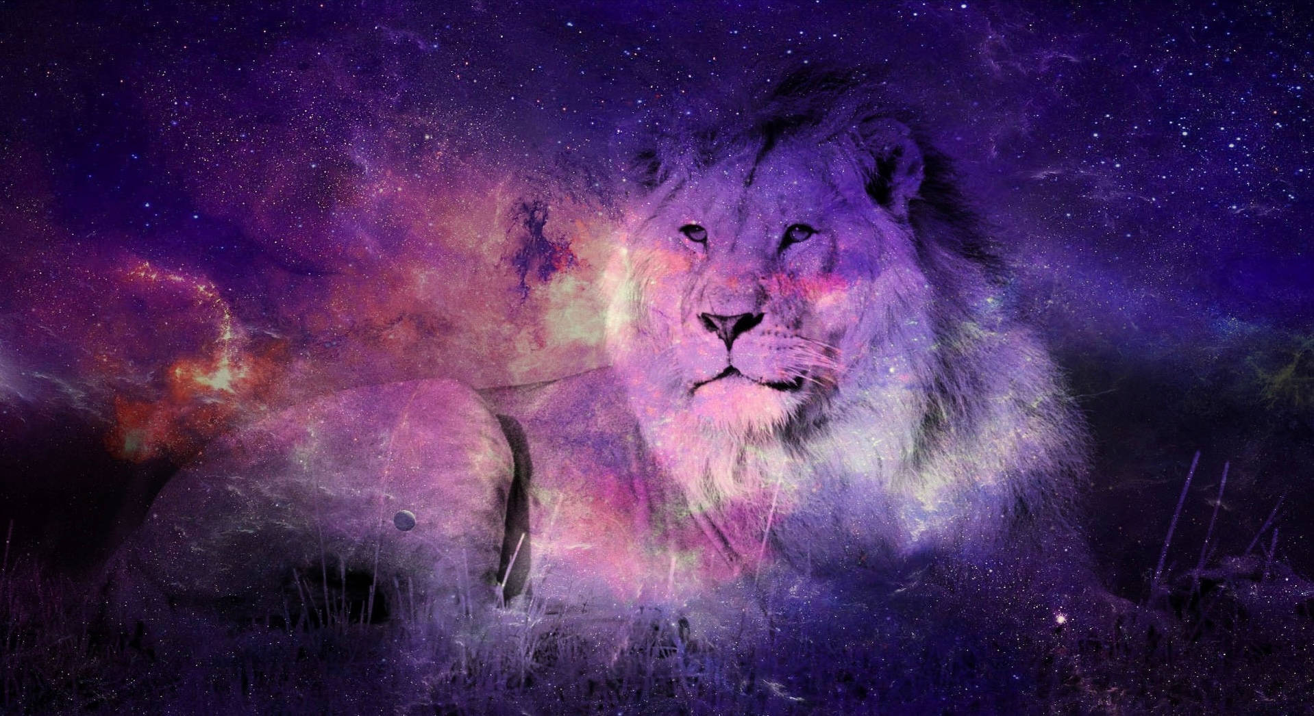 一頭獅子在星空下融入充滿活力的宇宙星雲中。 — 銀河獅子 壁紙