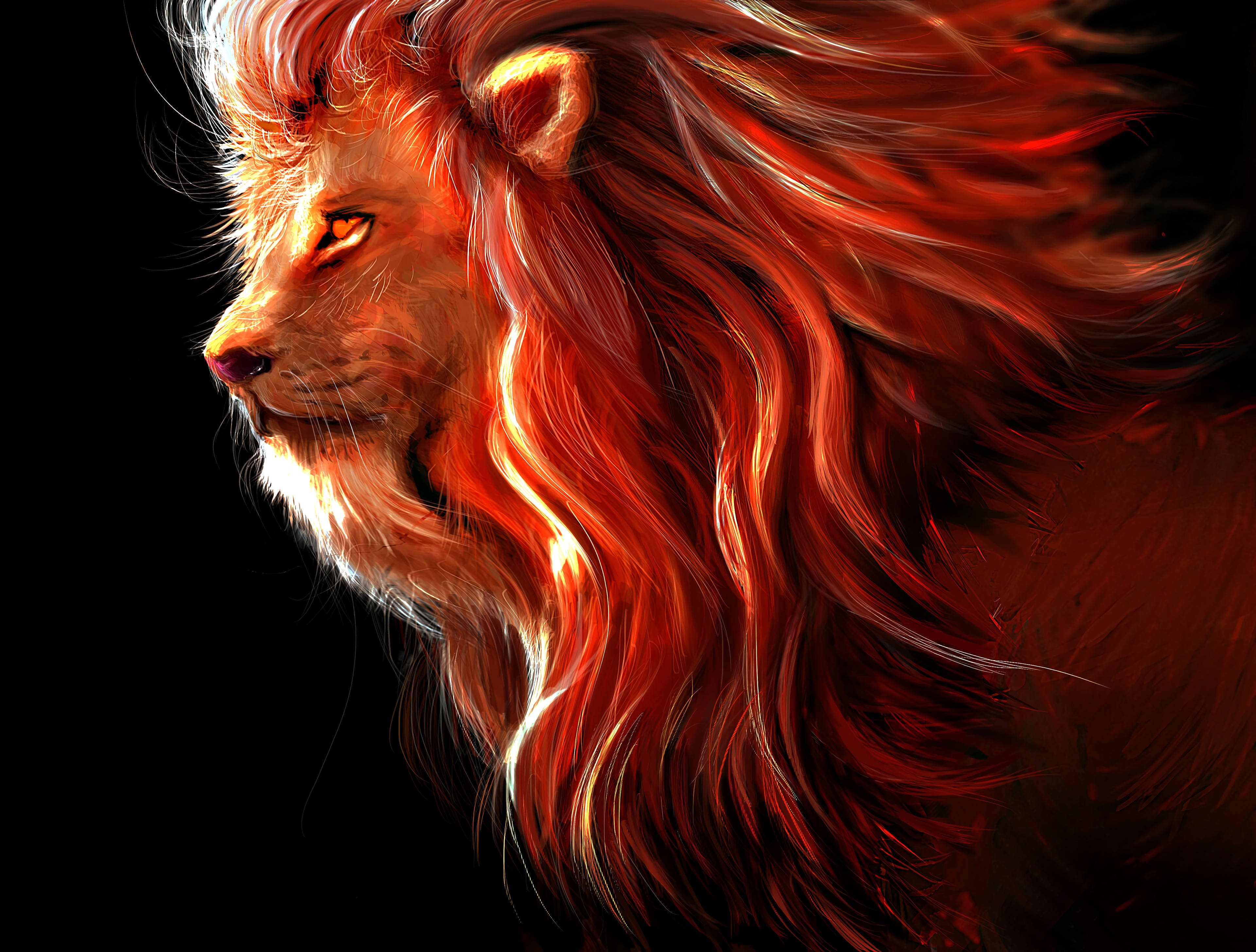 獅子王 桌布 壁紙 — 一頭雄獅的側面，火焰般的紅色鬃毛在黑色背景上發光。