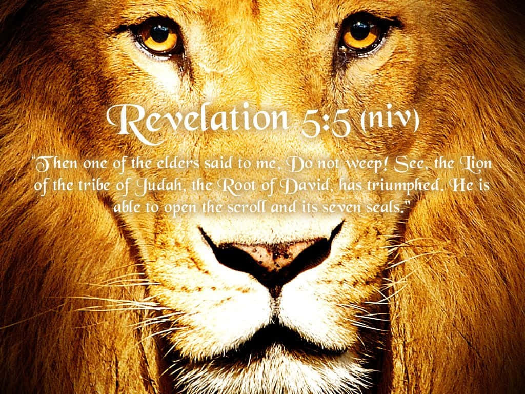 Lion Of Judah 桌布 壁紙 — 一頭雄獅的臉龐佔據整個畫面，金色的毛髮和強烈的琥珀色眼睛，上面覆蓋著一句聖經經文。