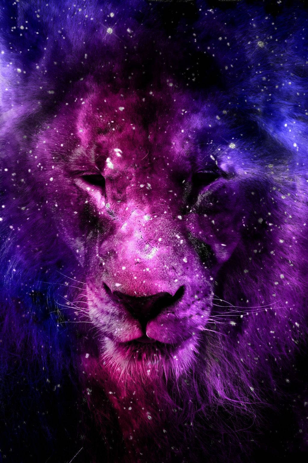  壁紙 — 一頭雄獅的臉龐從充滿閃爍星光的紫色和藍色漩渦星雲中浮現。