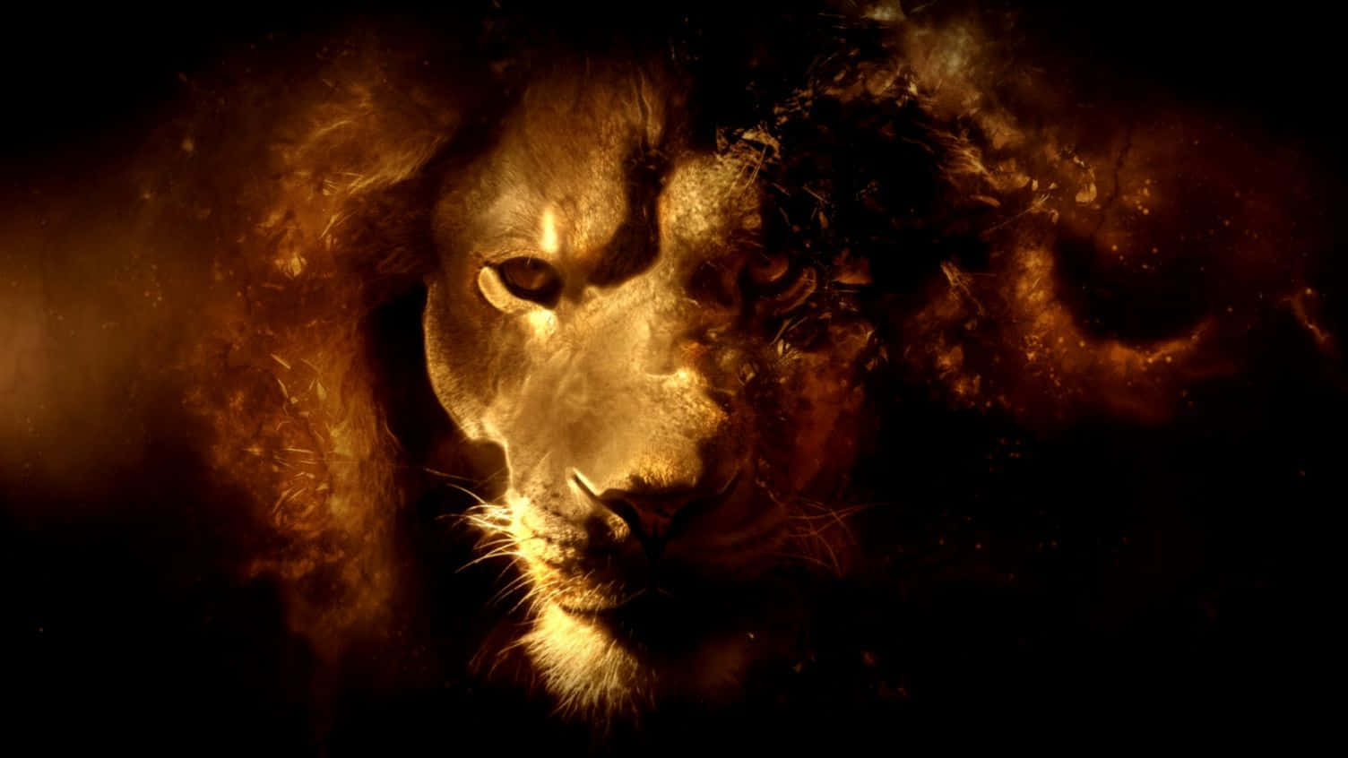 Lion Of Judah 桌布 壁紙 — 一頭雄獅的臉龐從黑暗背景中旋轉的金色煙霧中浮現。