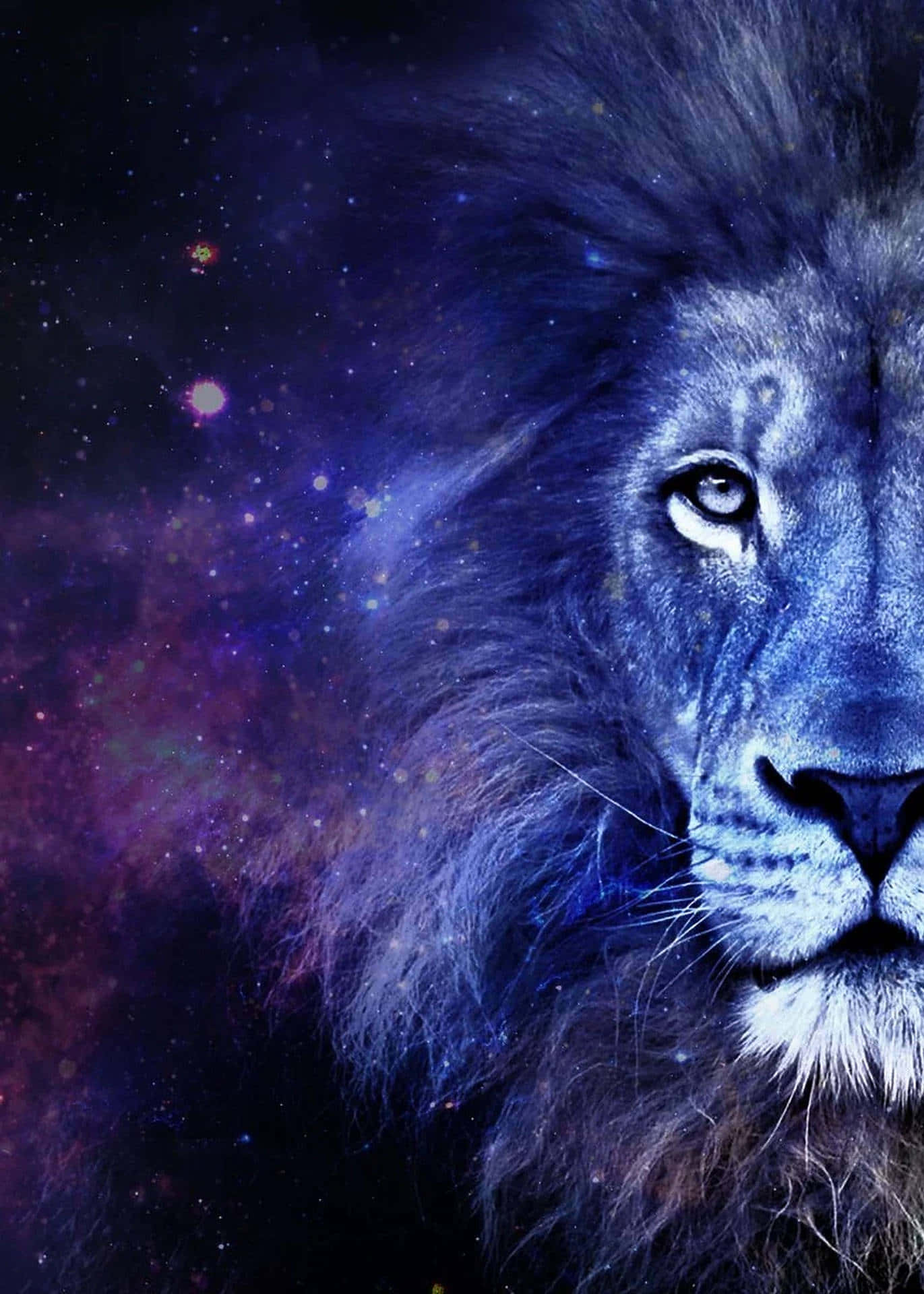 藝術 桌布 壁紙 — 一頭雄獅雙眼發光，凝視著深紫和藍色的宇宙星雲背景。