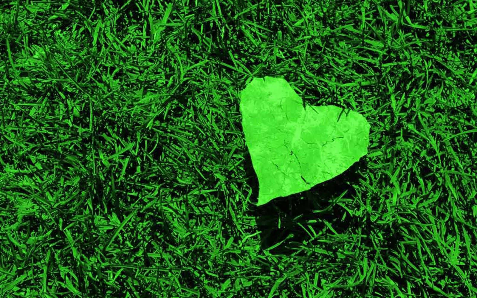 Green Heart 桌布 壁紙 — 一顆亮綠色的心形石頭躺在充滿活力的綠草中，在強烈的光線下。