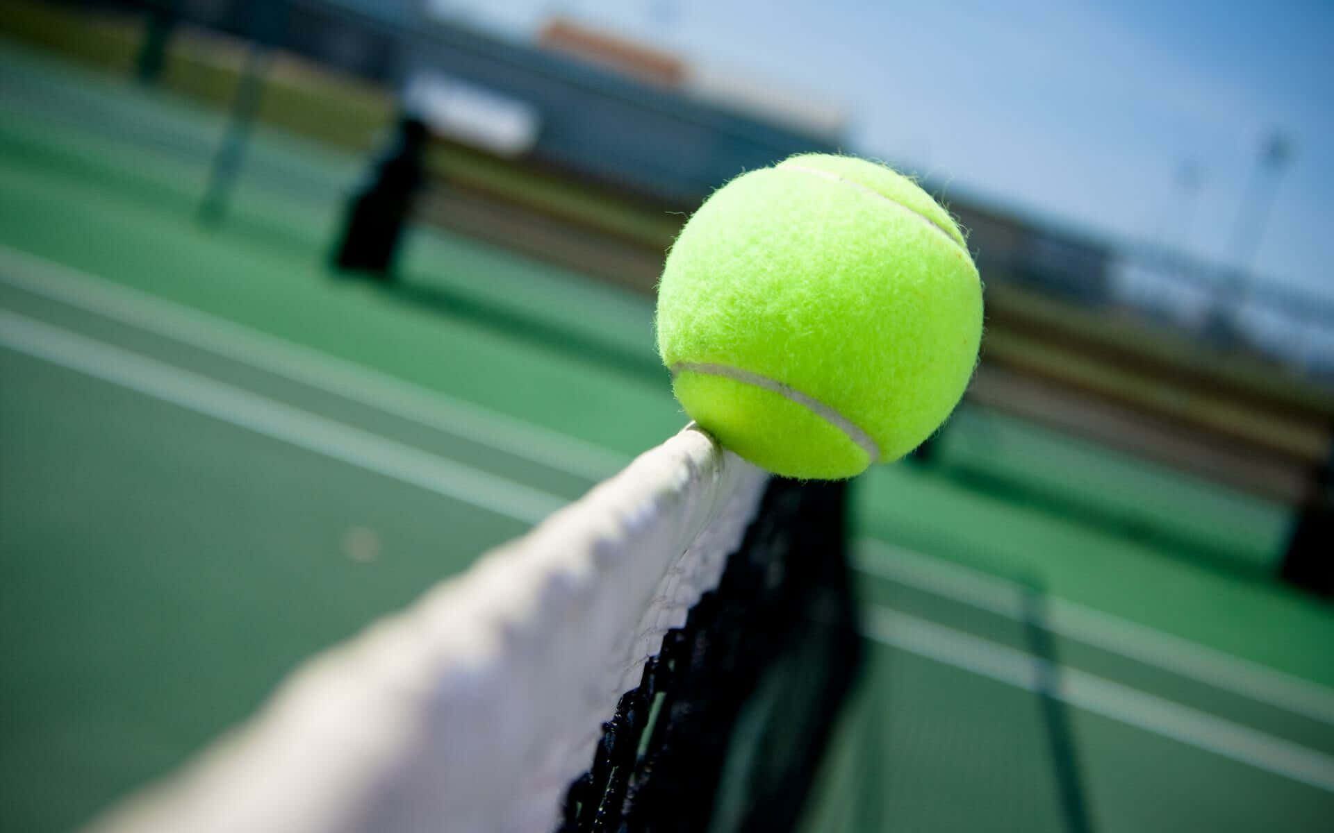 Tennis Ball 桌布 壁紙 — 一顆亮黃色的網球完美地棲息在網球網的頂部，背景是模糊的綠色球場。