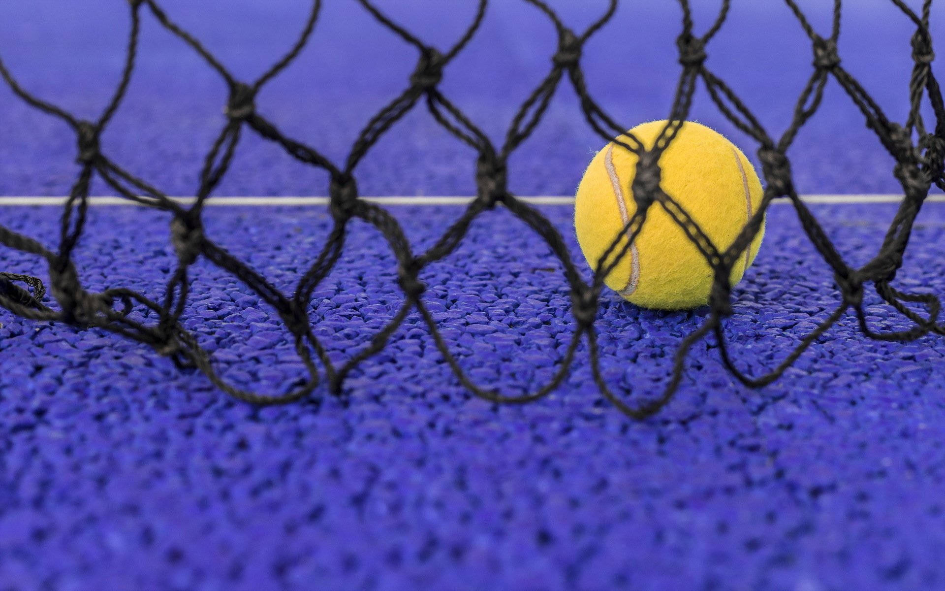 Tennis 桌布 壁紙 — 一顆亮黃色的網球放在黑色網後，背景是鮮豔的藍色紋理球場表面。