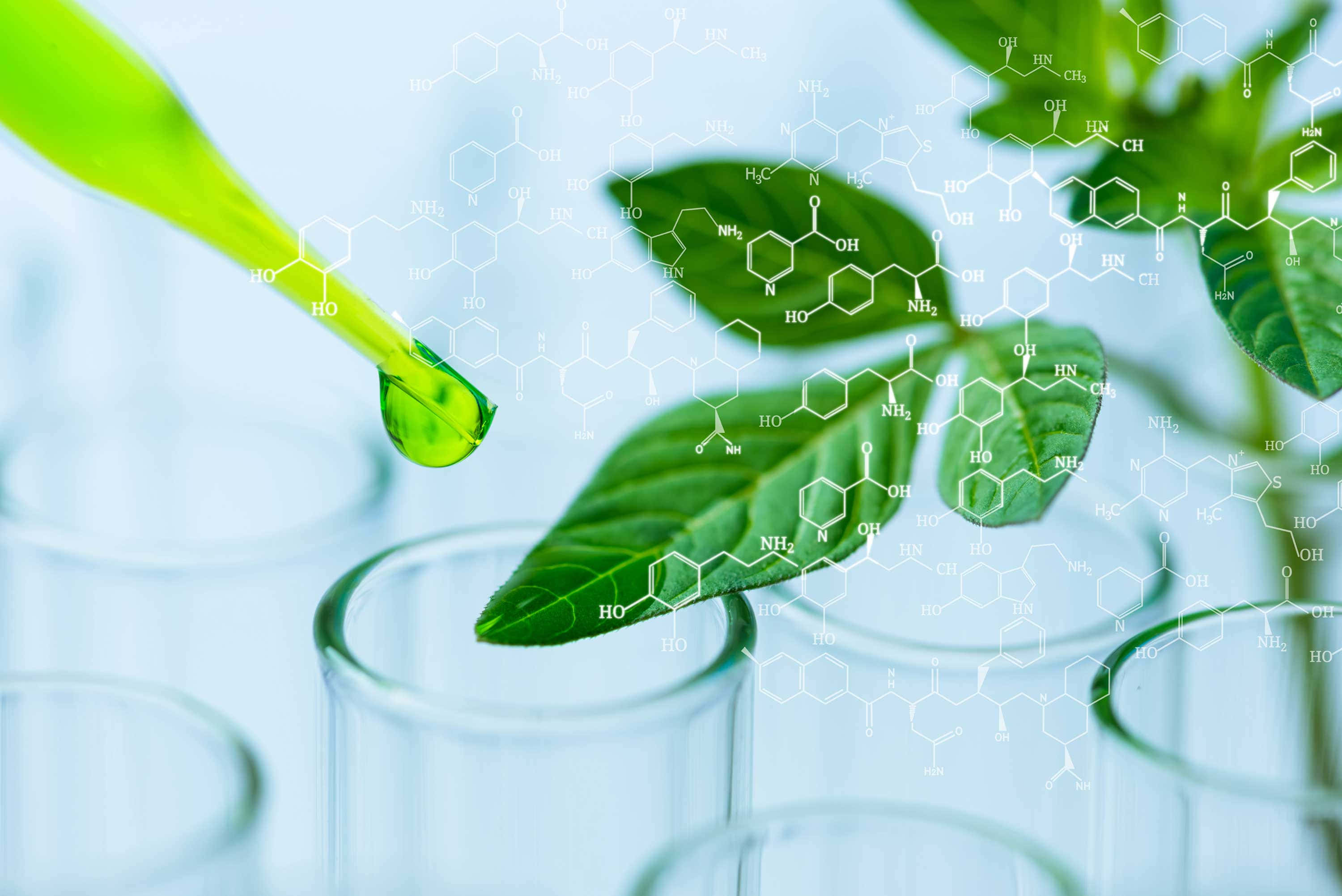 Green Chemistry 桌布 壁紙 — 一顆充滿活力的綠色液滴懸浮在試管上方，分子結構在茂密的葉子周圍漂浮。