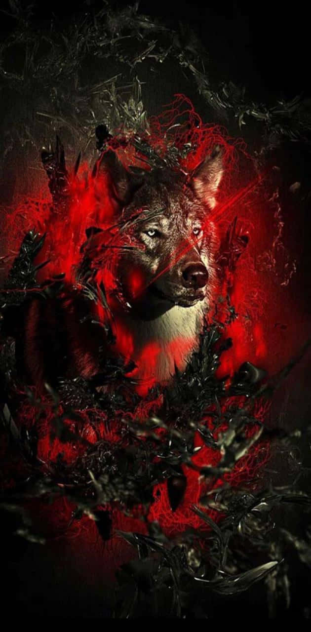 Red Wolf 桌布 壁紙 — 一顆兇猛的狼頭從旋轉的紅色和黑色抽象能量中浮現，背景為深色。