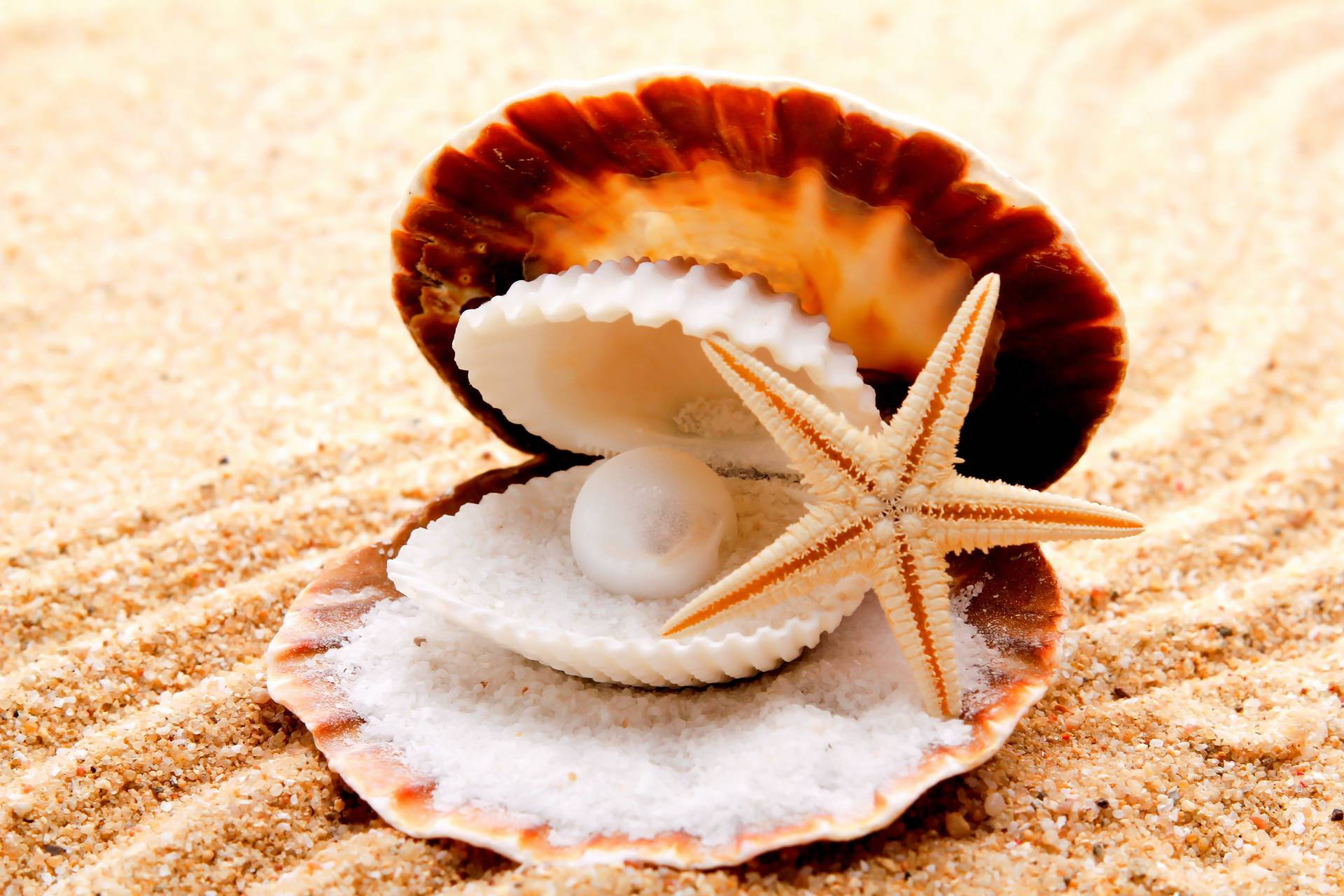 Starfish 桌布 壁紙 — 一顆光澤珍珠躺在開放的貝殼中，旁邊有海星在紋理金黃沙灘上。