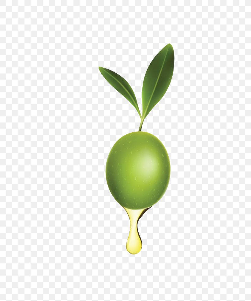 Fruit 桌布 壁紙 — 一顆光澤的綠色橄欖帶有兩片葉子，在透明格子背景上滴下金色油滴。