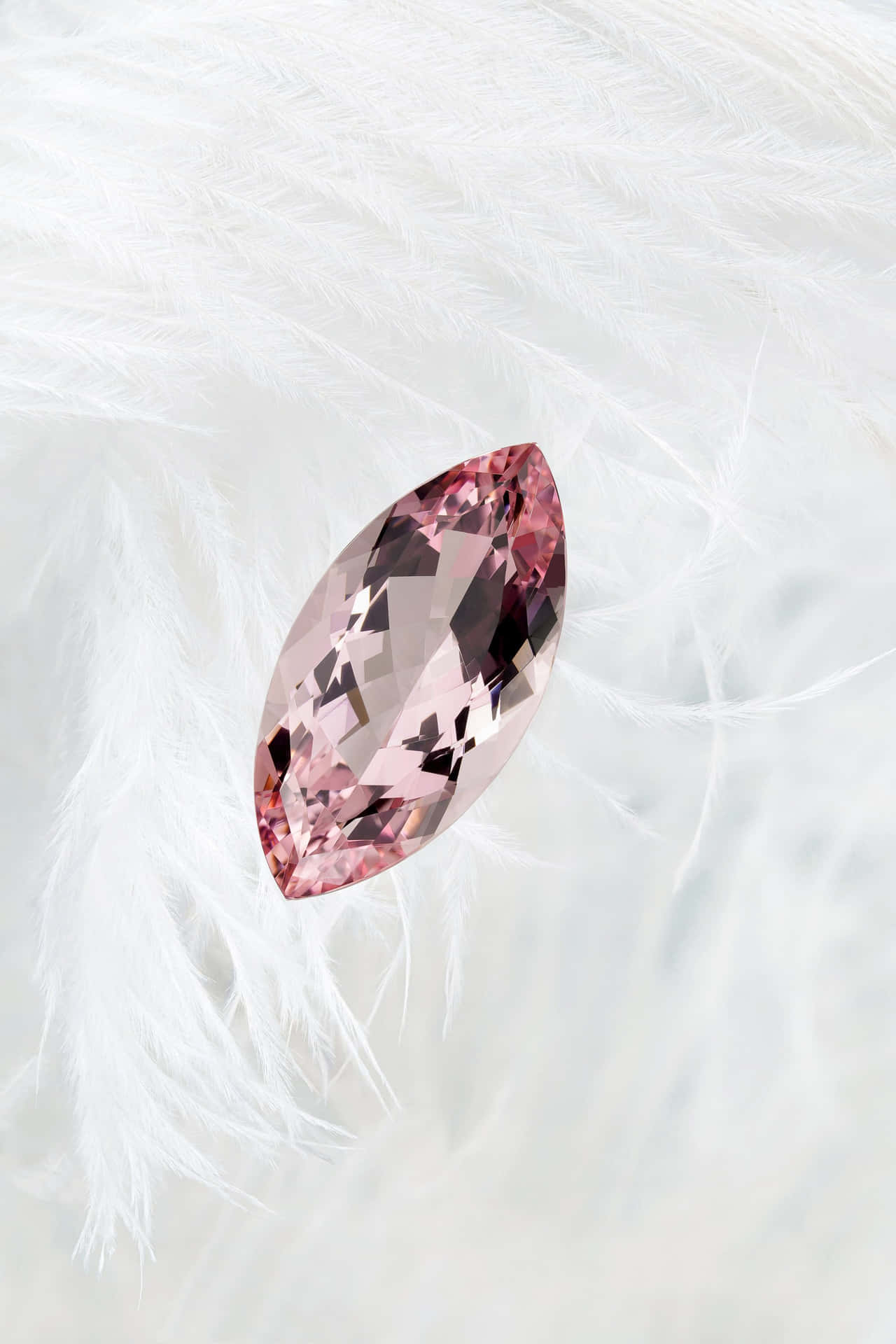 Pink Diamond 桌布 壁紙 — 一顆刻面粉紅馬眼形切割寶石優雅地躺在柔軟的白色羽毛床上。