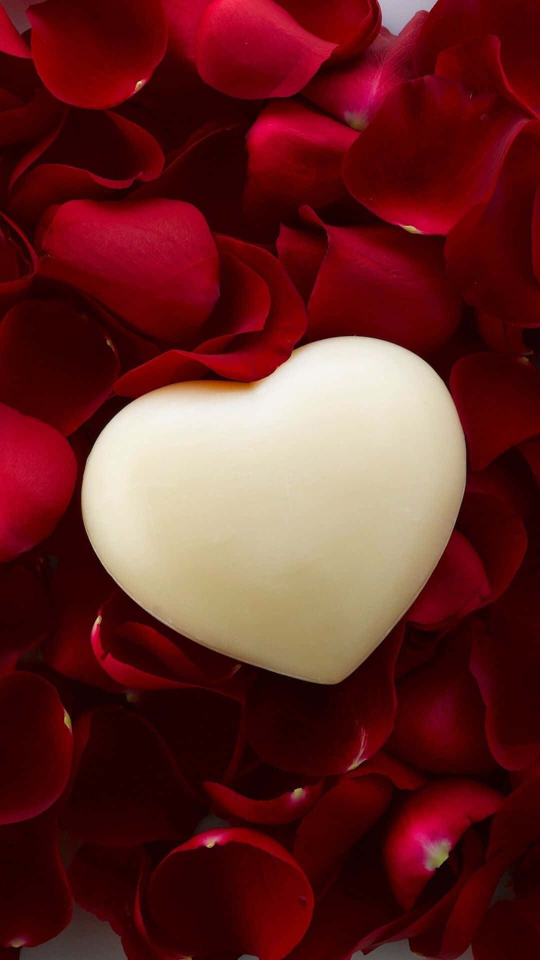 Rose Heart 桌布 壁紙 — 一顆奶油白色的心形巧克力放在柔焦的深紅玫瑰花瓣床上。