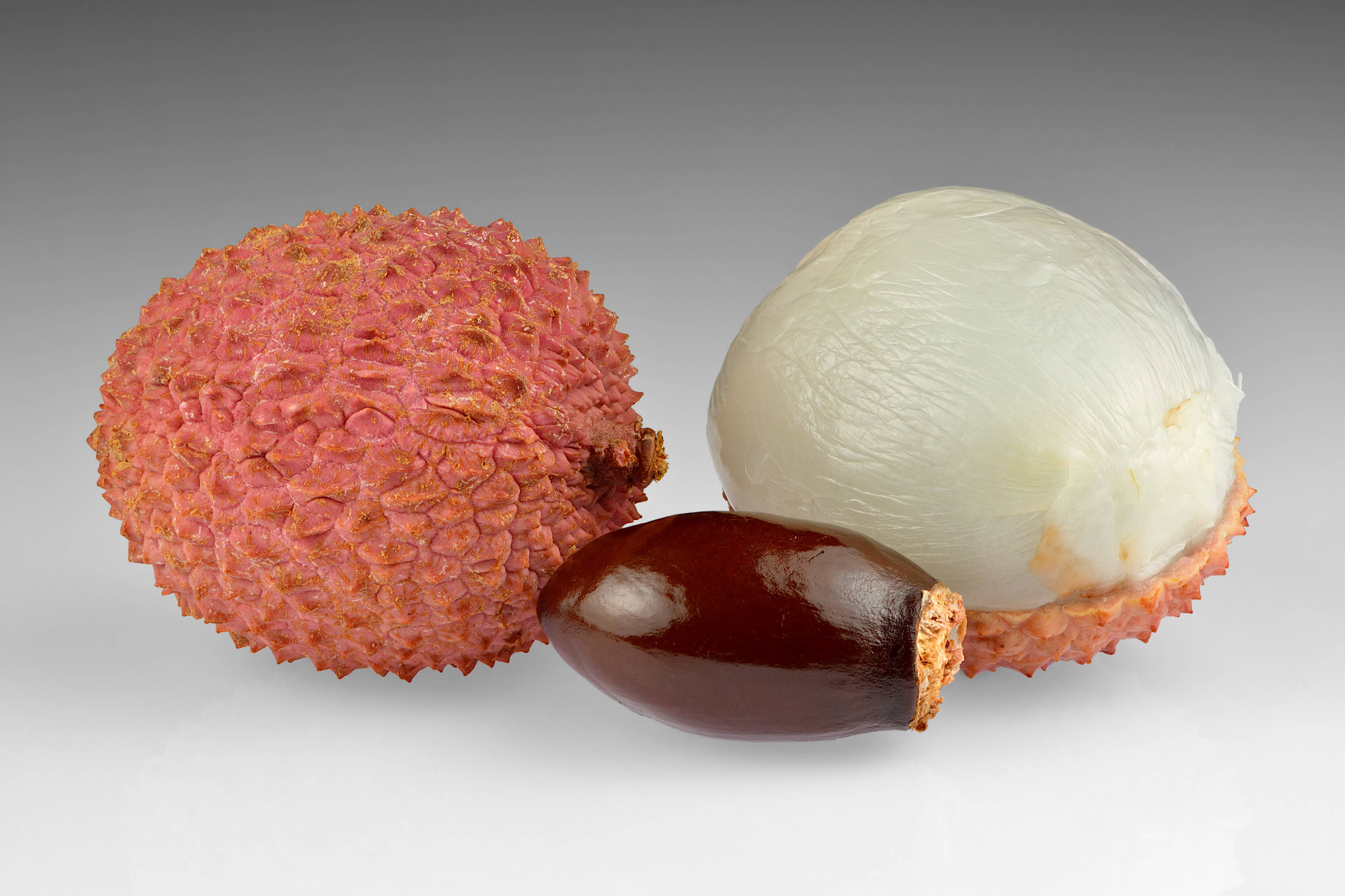 Litchi 桌布 壁紙 — 一顆完整的荔枝，帶有凹凸不平的粉紅色外皮，旁邊是剝了皮的白色果肉和深棕色果核，放在中性灰色背景上。