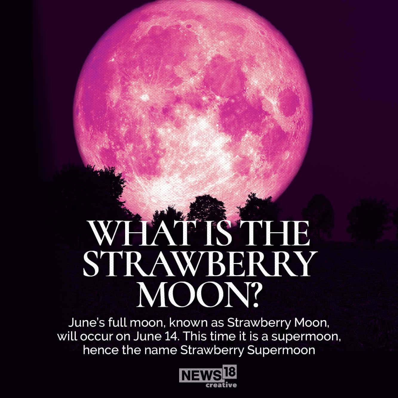 Pink Moon Real 桌布 壁紙 — 一顆巨大的粉紅色超級月亮懸掛在深紫色天空下的黑暗樹線上，帶有粗體文字疊加。