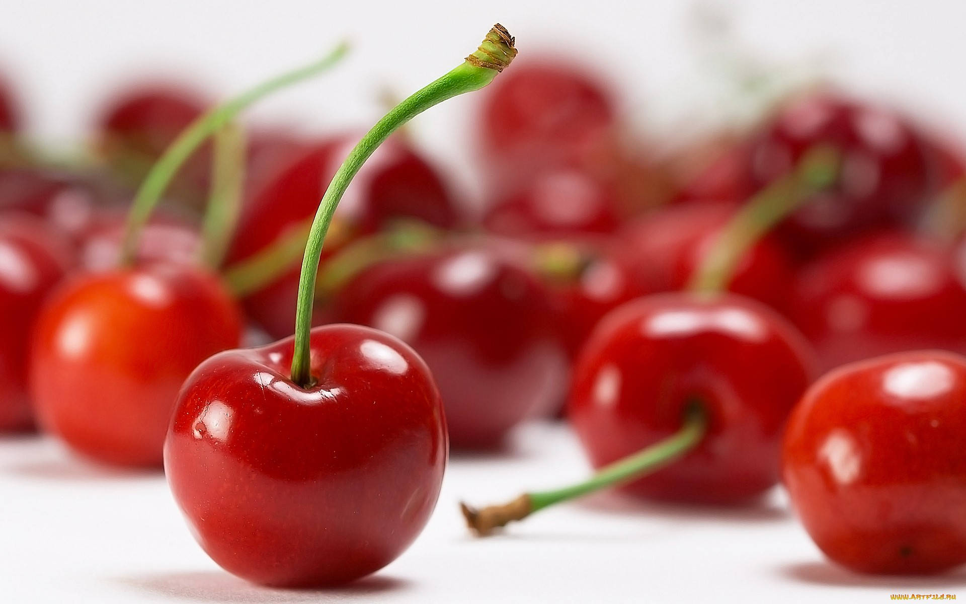 Cherry 桌布 壁紙 — 一顆帶有綠色莖的光澤紅櫻桃，在白色表面上類似櫻桃的模糊背景中清晰對焦。