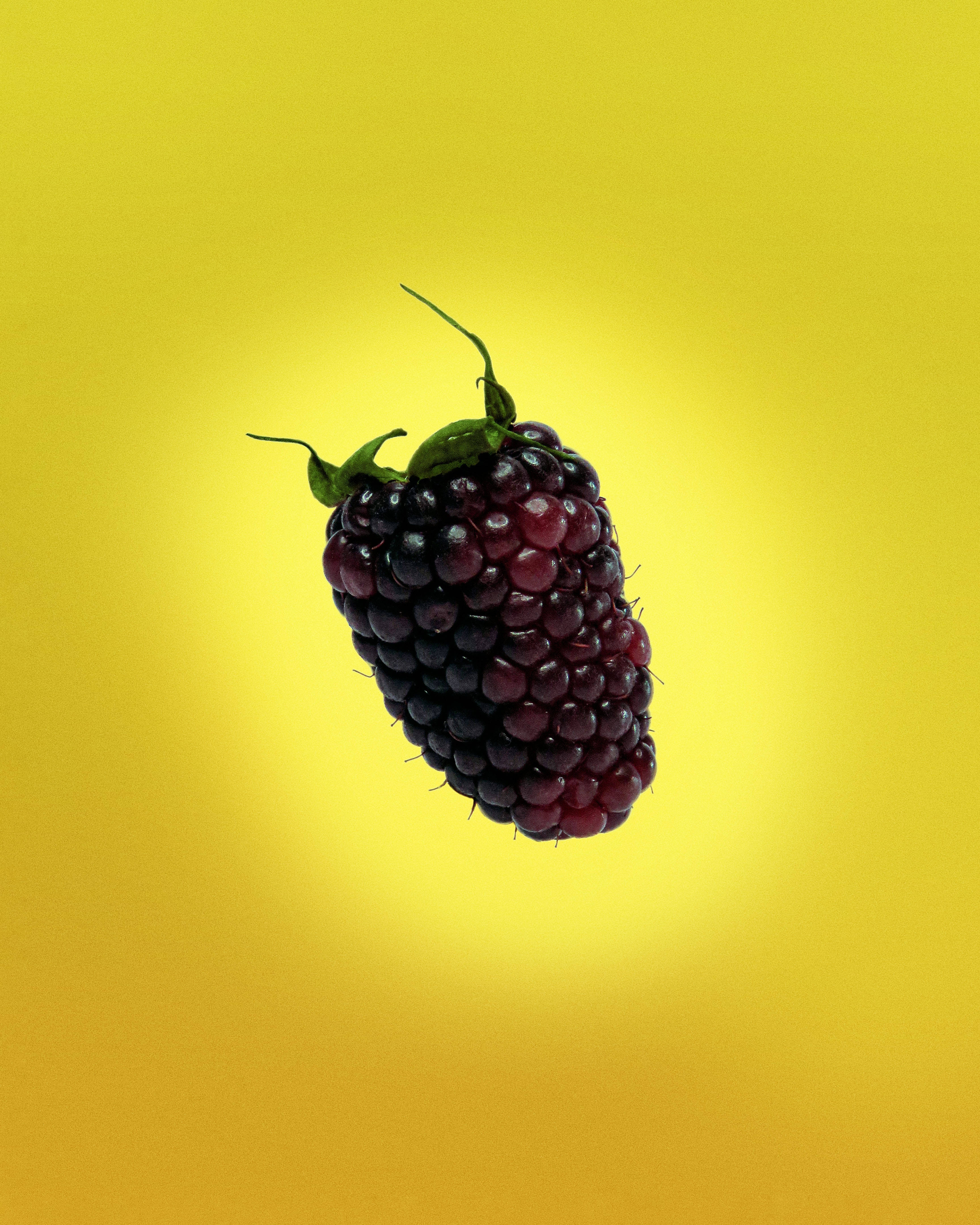 Berry 桌布 壁紙 — 一顆帶綠色莖的成熟黑莓漂浮在充滿活力的黃色漸變背景上。