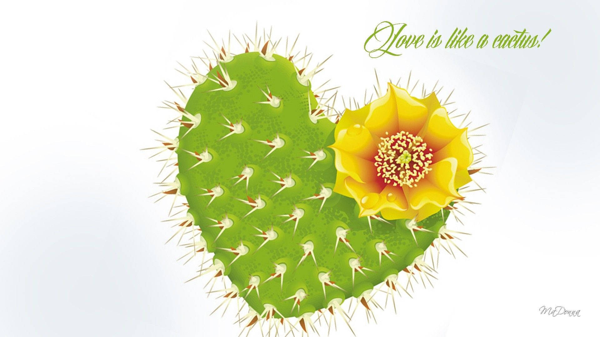 Cactus 桌布 壁紙 — 一顆心形綠色仙人掌，長著尖銳的刺，在柔和的白色背景上綻放出一朵鮮豔的黃色花朵。