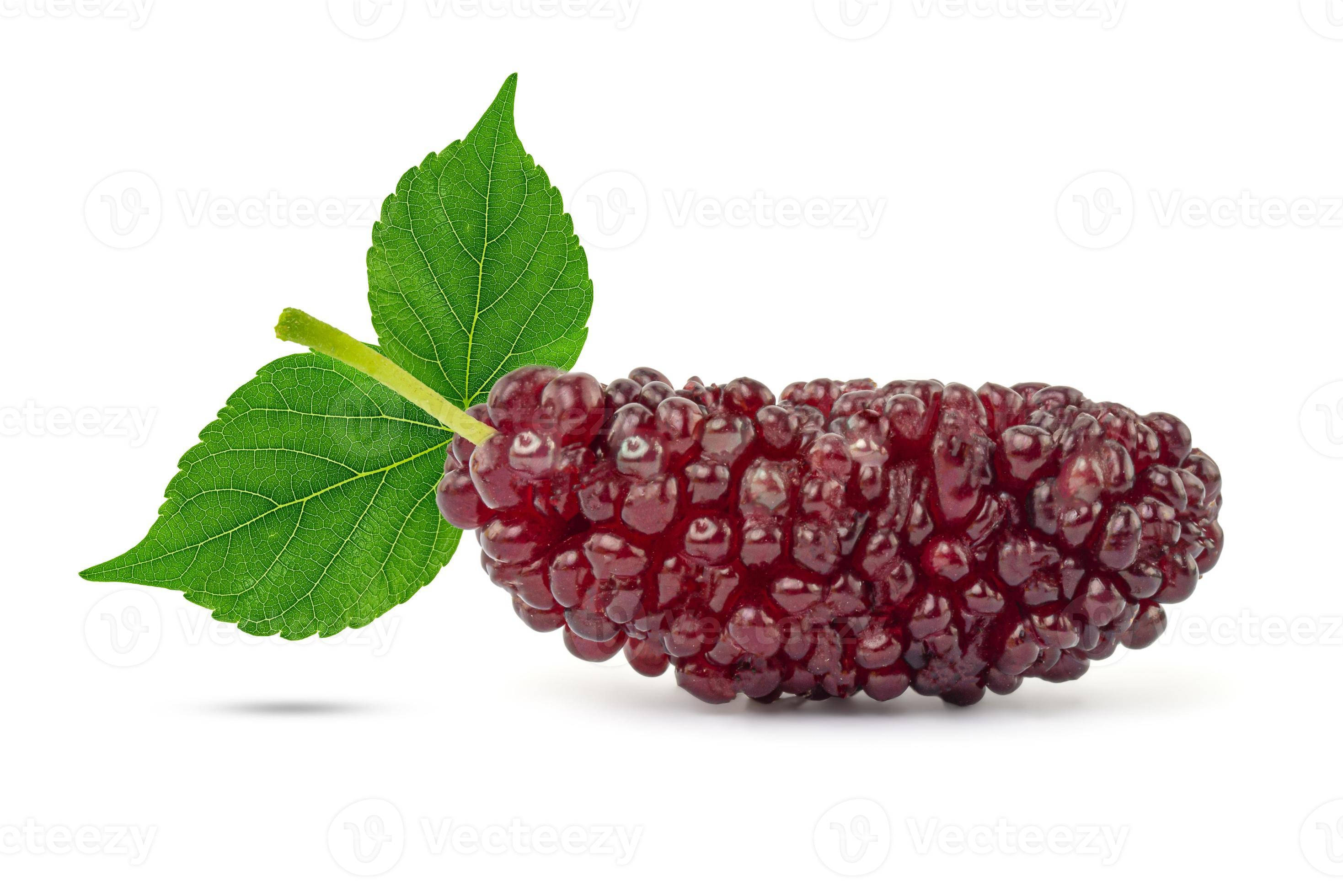 Berry 桌布 壁紙 — 一顆成熟的桑葚，帶有光澤的深紅色果實和兩片鮮綠色的葉子，襯托在純白色的背景上。