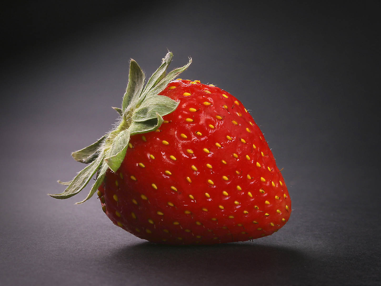 Fruits 桌布 壁紙 — 一顆成熟的紅色草莓，帶有綠色莖部，在柔和的攝影棚燈光下，以深灰色背景為襯托。