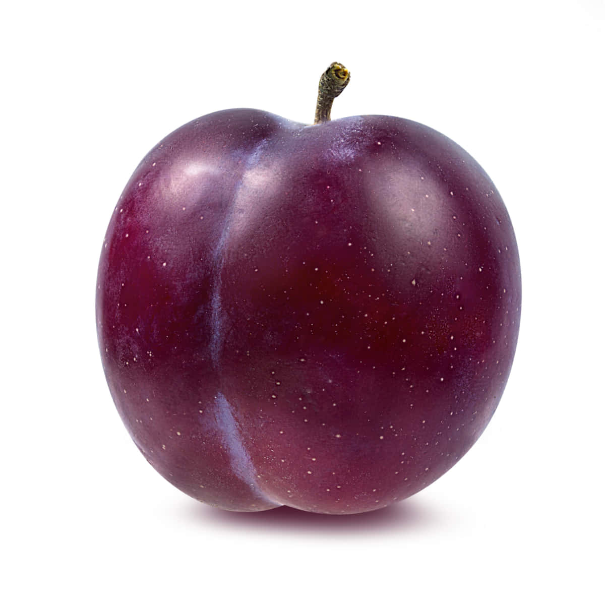 Purple Plums 桌布 壁紙 — 一顆成熟的紫色李子，表皮光滑帶有細小白色斑點，置於純白背景中央。