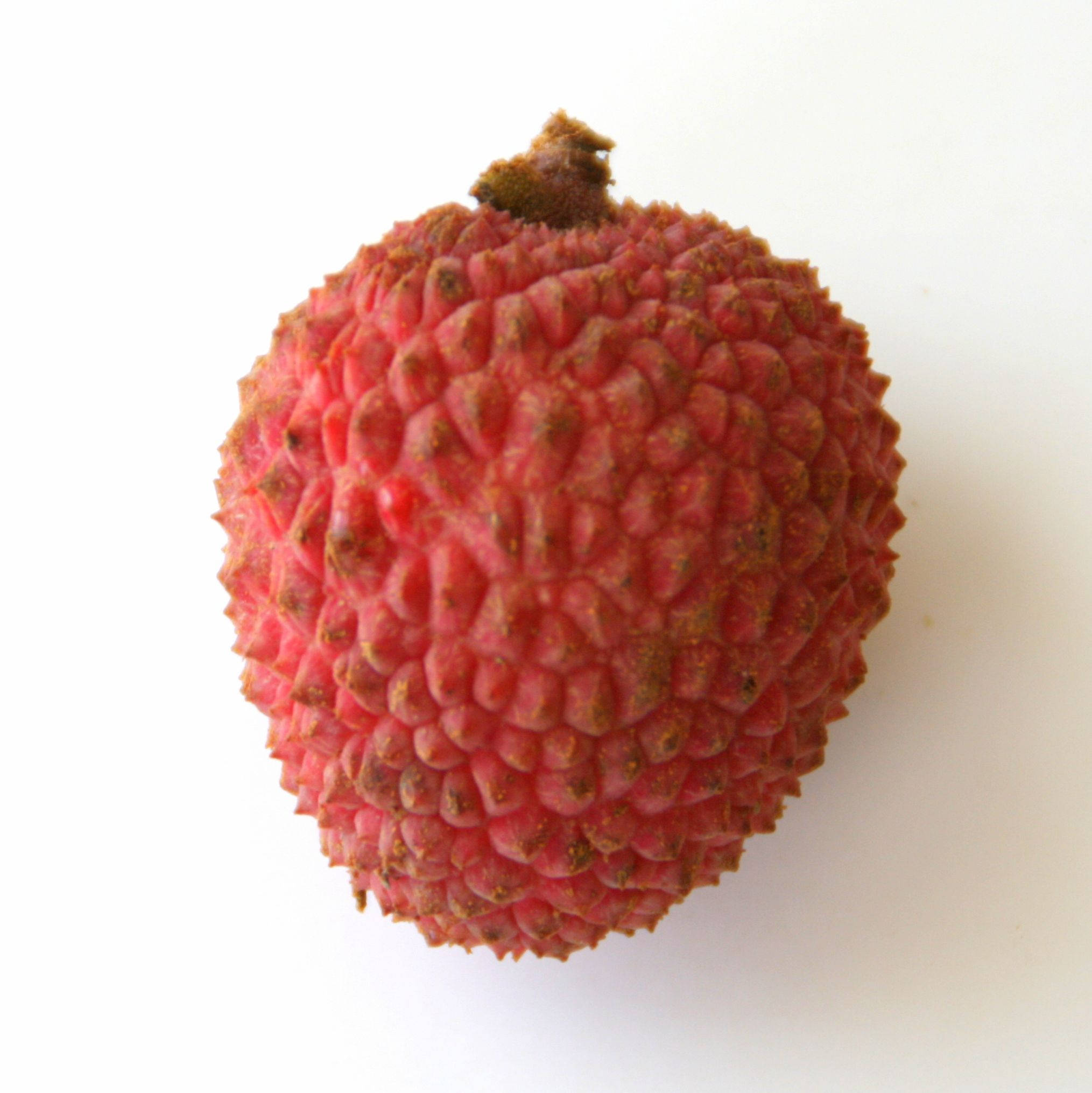 Lychee 桌布 壁紙 — 一顆成熟的荔枝，帶有紋理的粉紅色外皮和棕色莖，置於純白色背景中央。