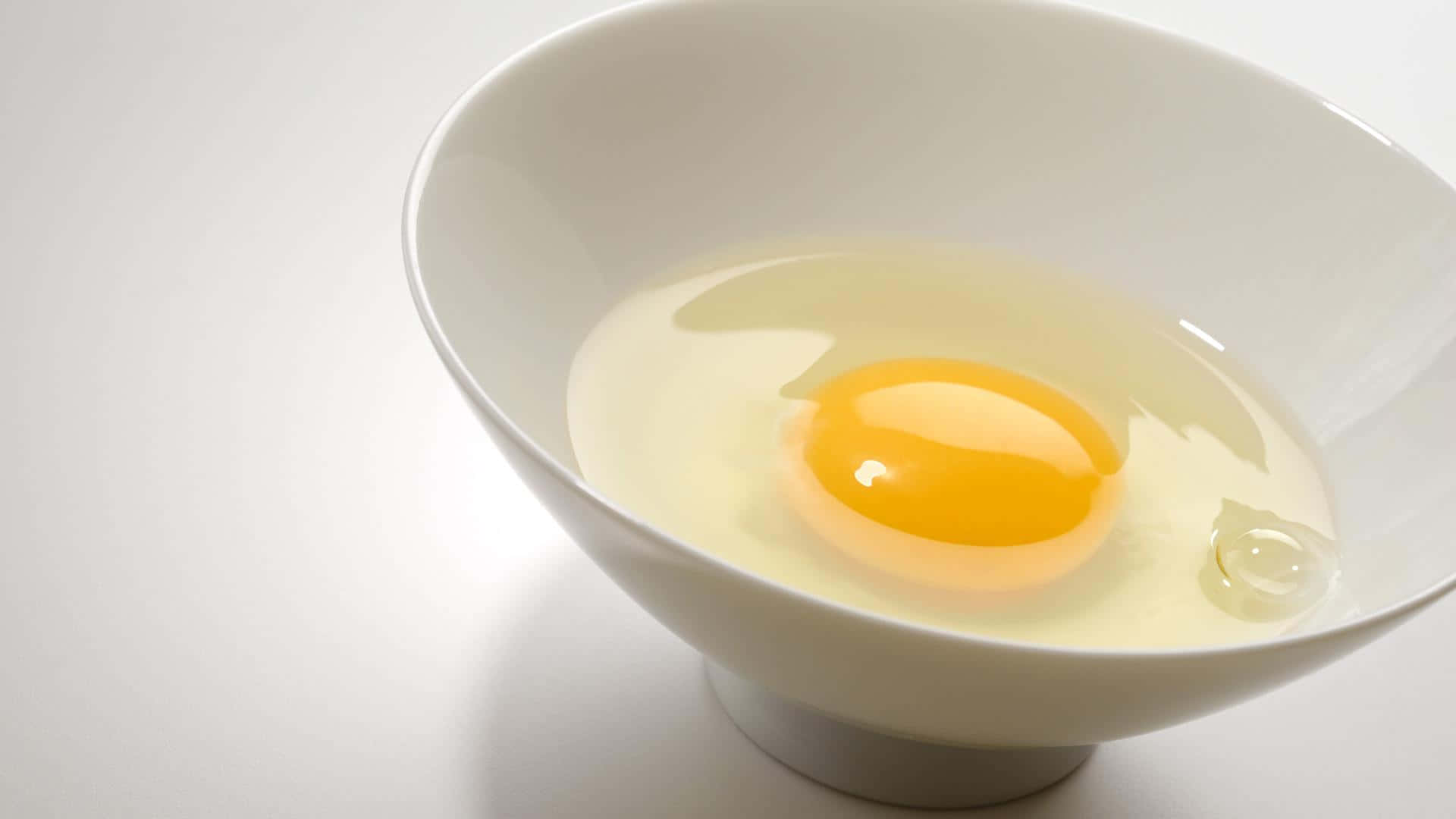 Egg White 桌布 壁紙 — 一顆新鮮雞蛋帶有鮮黃色蛋黃，放在潔白碗中，背景為簡約白色。