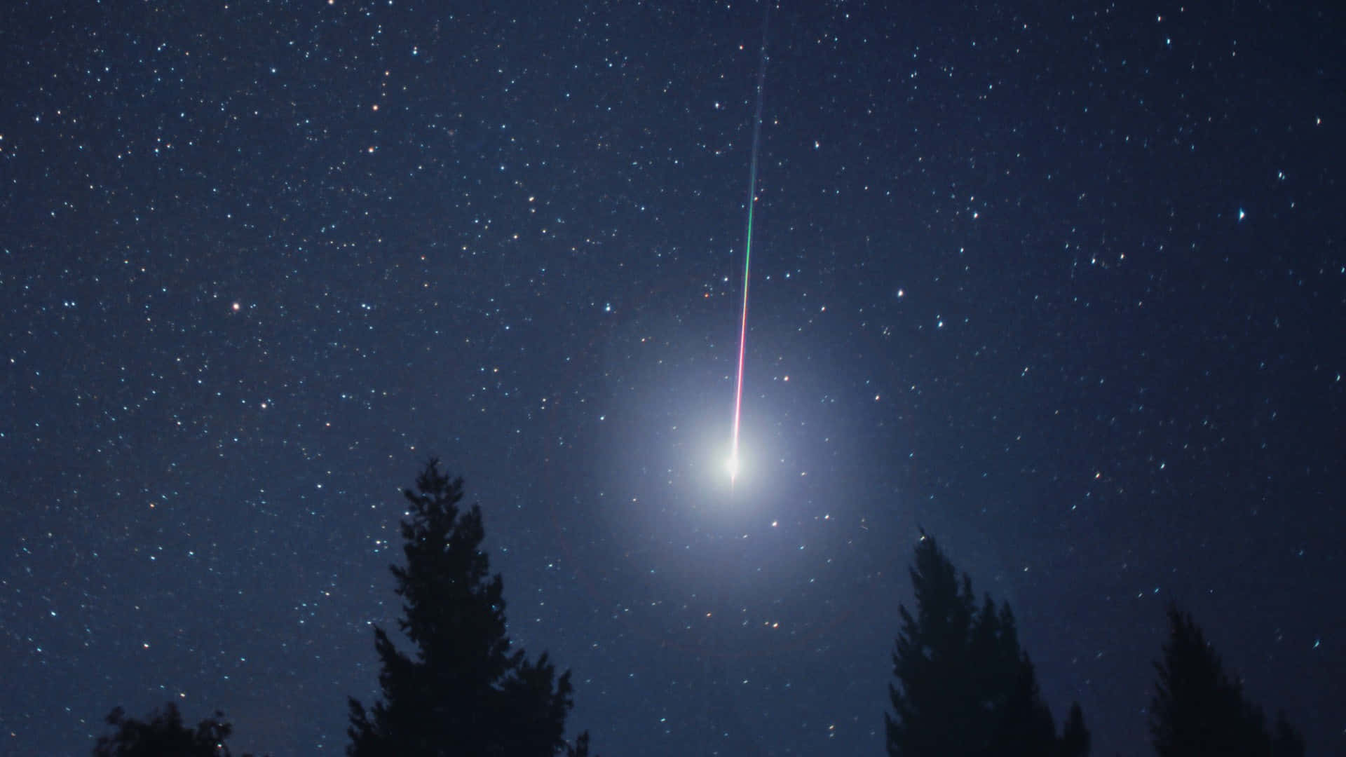 3d Star 桌布 壁紙 — 一顆明亮的流星劃過星空夜空，上方是剪影般的松樹。
