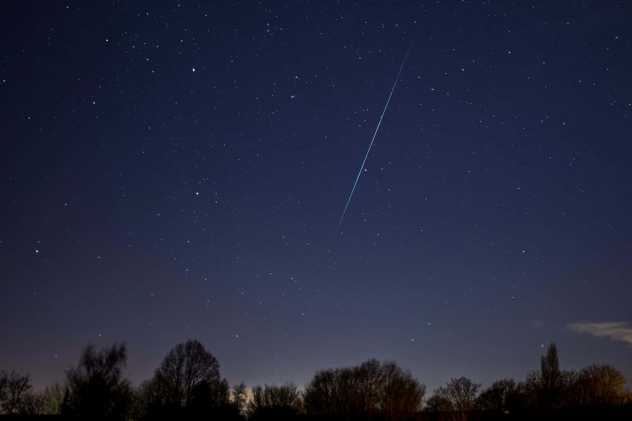 meteor 桌布 壁紙 — 一顆明亮的流星劃過深藍色天空下黑暗樹線之上的星空夜空。