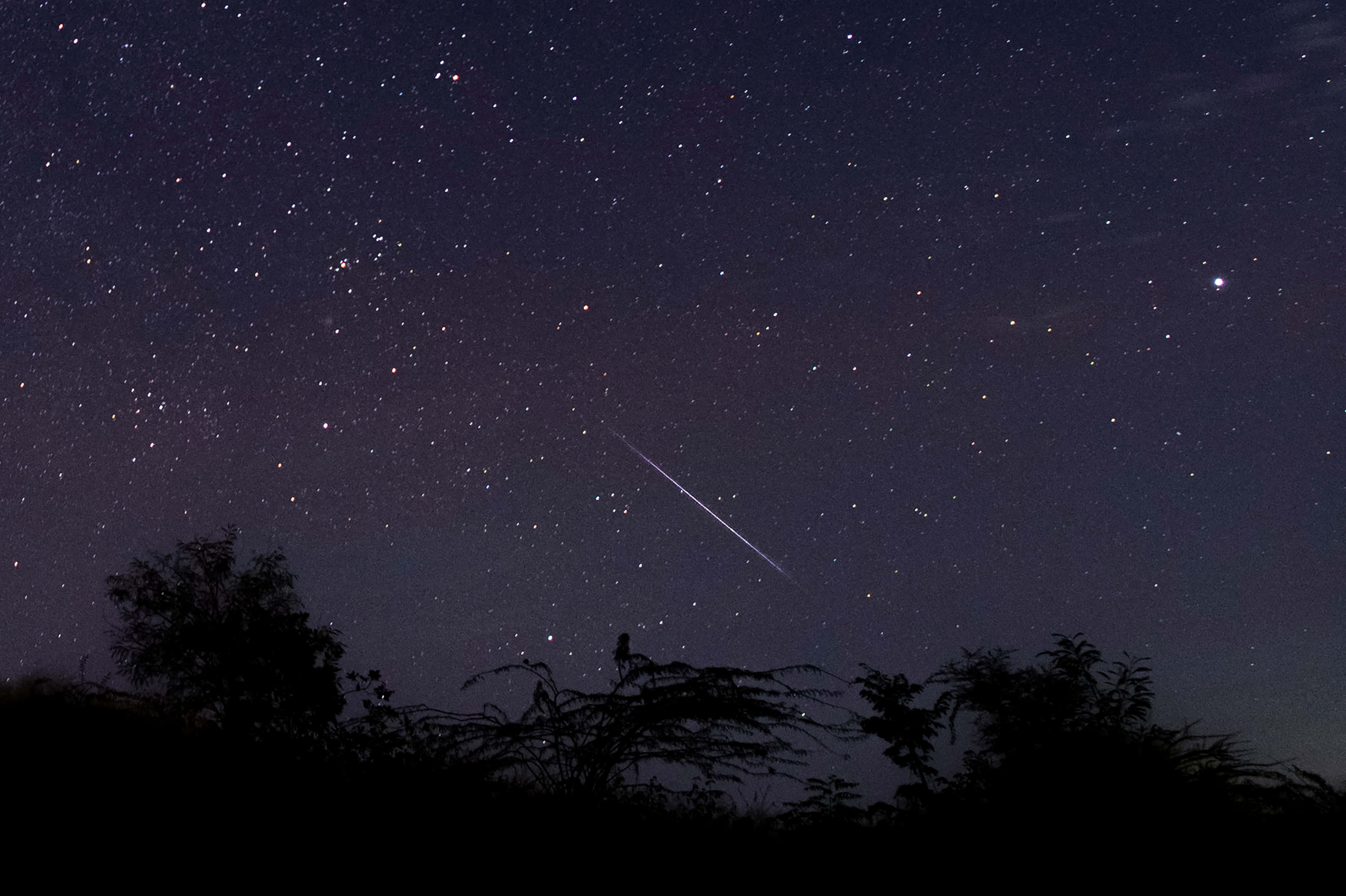 meteor 桌布 壁紙 — 一顆明亮的流星劃過黑暗樹影上方的星空夜空。