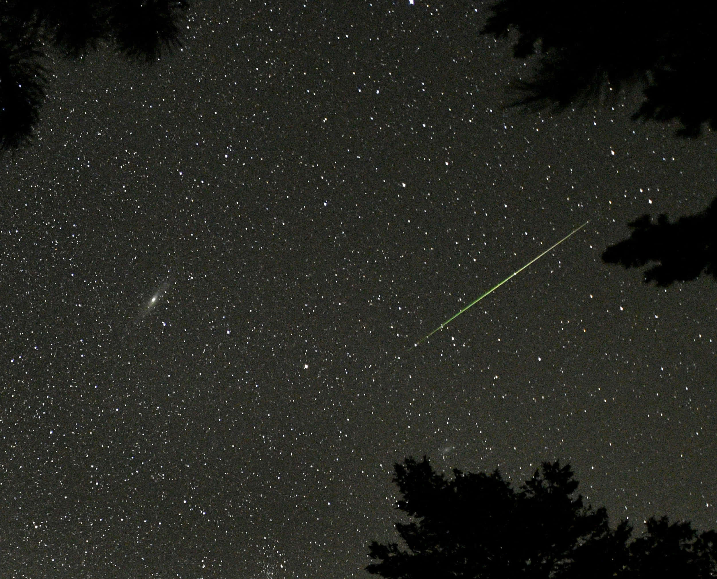 meteor 桌布 壁紙 — 一顆明亮的綠色流星劃過由黑暗樹影框住的星空夜空。