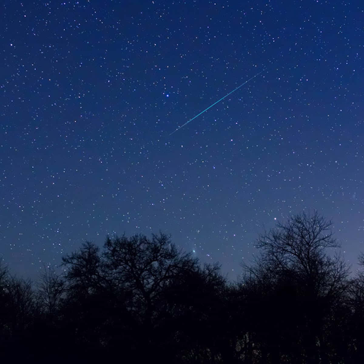 夜空 桌布 壁紙 — 一顆明亮的藍色流星劃過繁星點點的夜空，下方是光禿樹木的黑暗剪影。