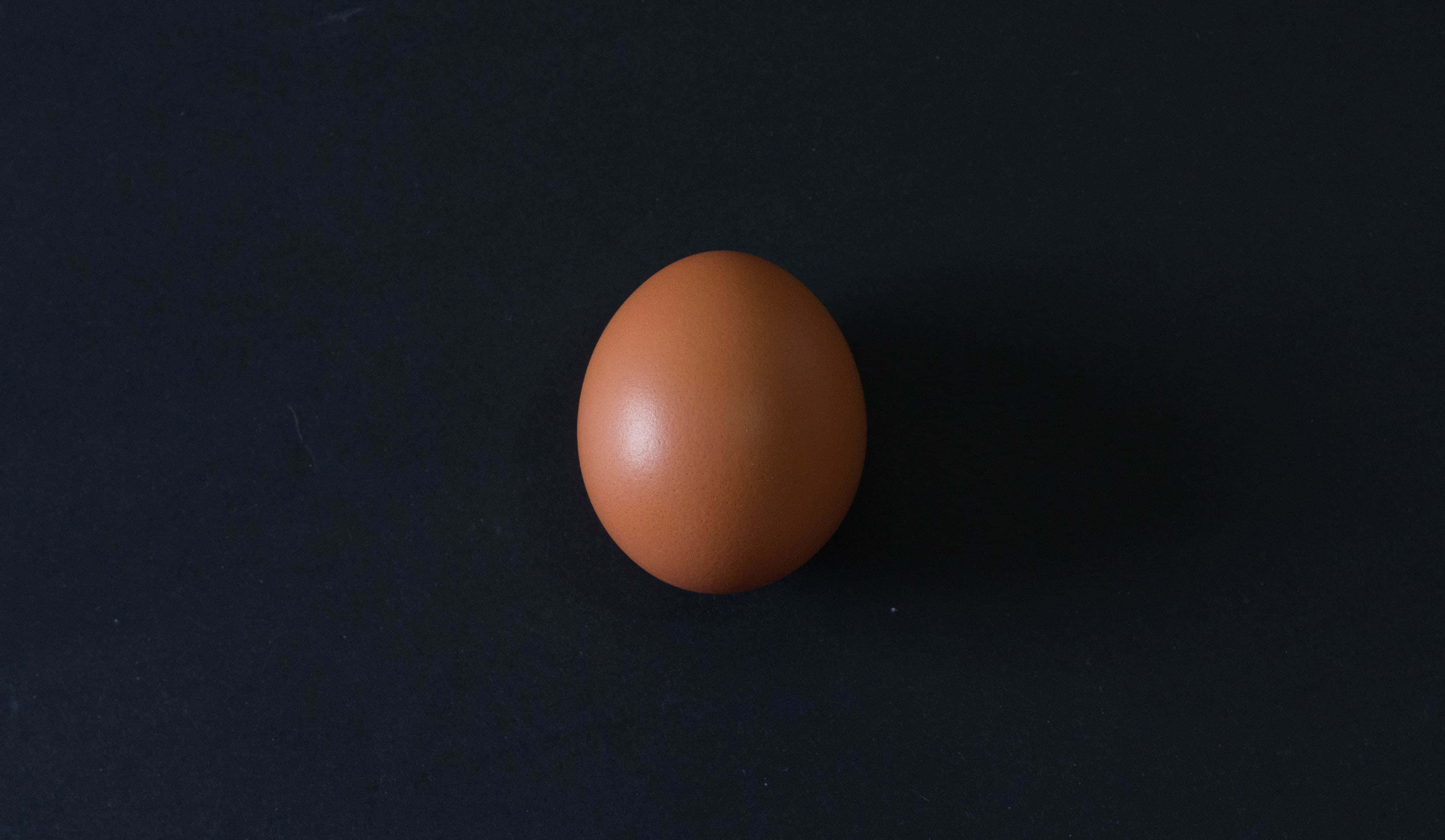 Brown Eggs 桌布 壁紙 — 一顆棕色雞蛋在柔和定向燈光下，居中放置在深色紋理表面上。