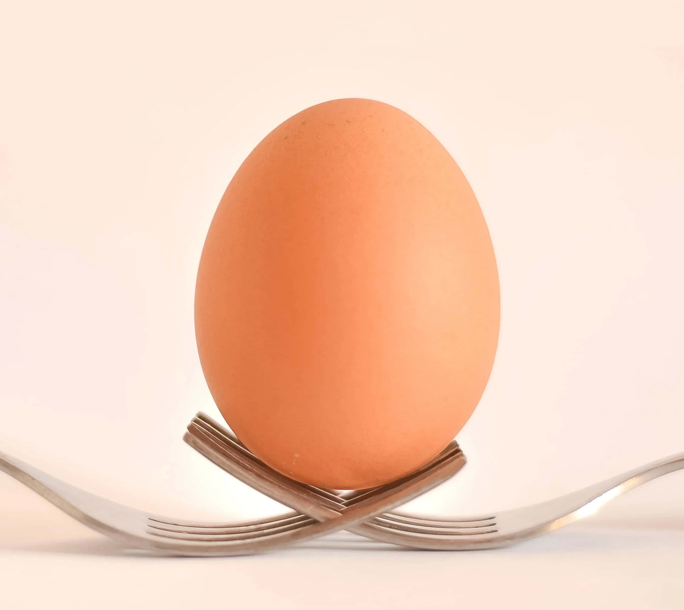 Egg 桌布 壁紙 — 一顆棕色雞蛋平衡地放在交叉的銀叉上，背景是柔和的米色。