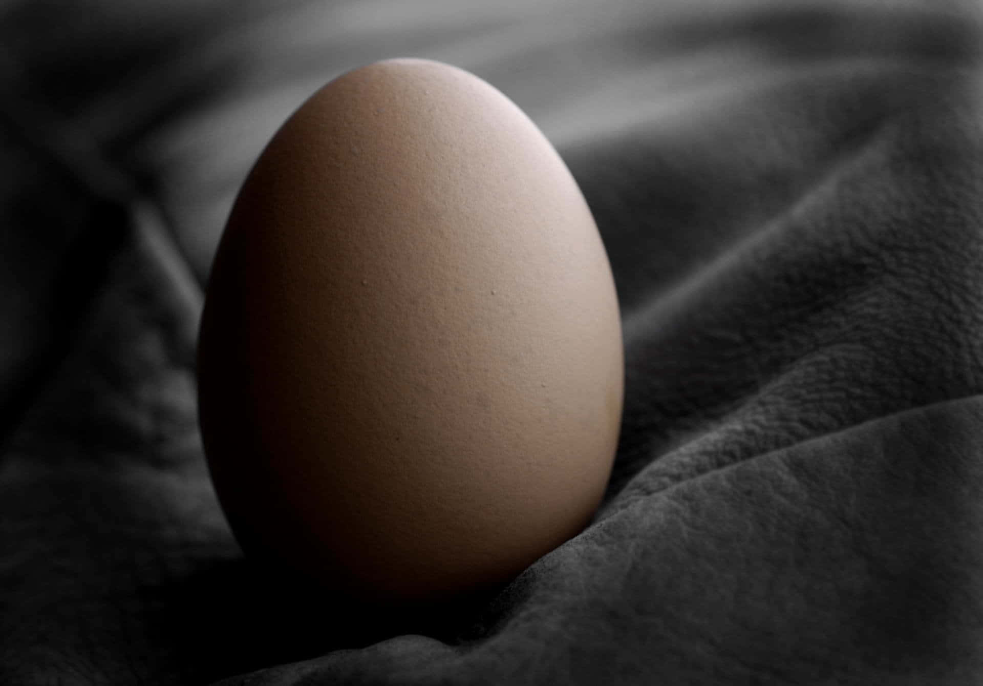 Egg 桌布 壁紙 — 一顆棕色雞蛋輕輕地放在深色有紋理的布料上，構成充滿氛圍的黑白構圖。