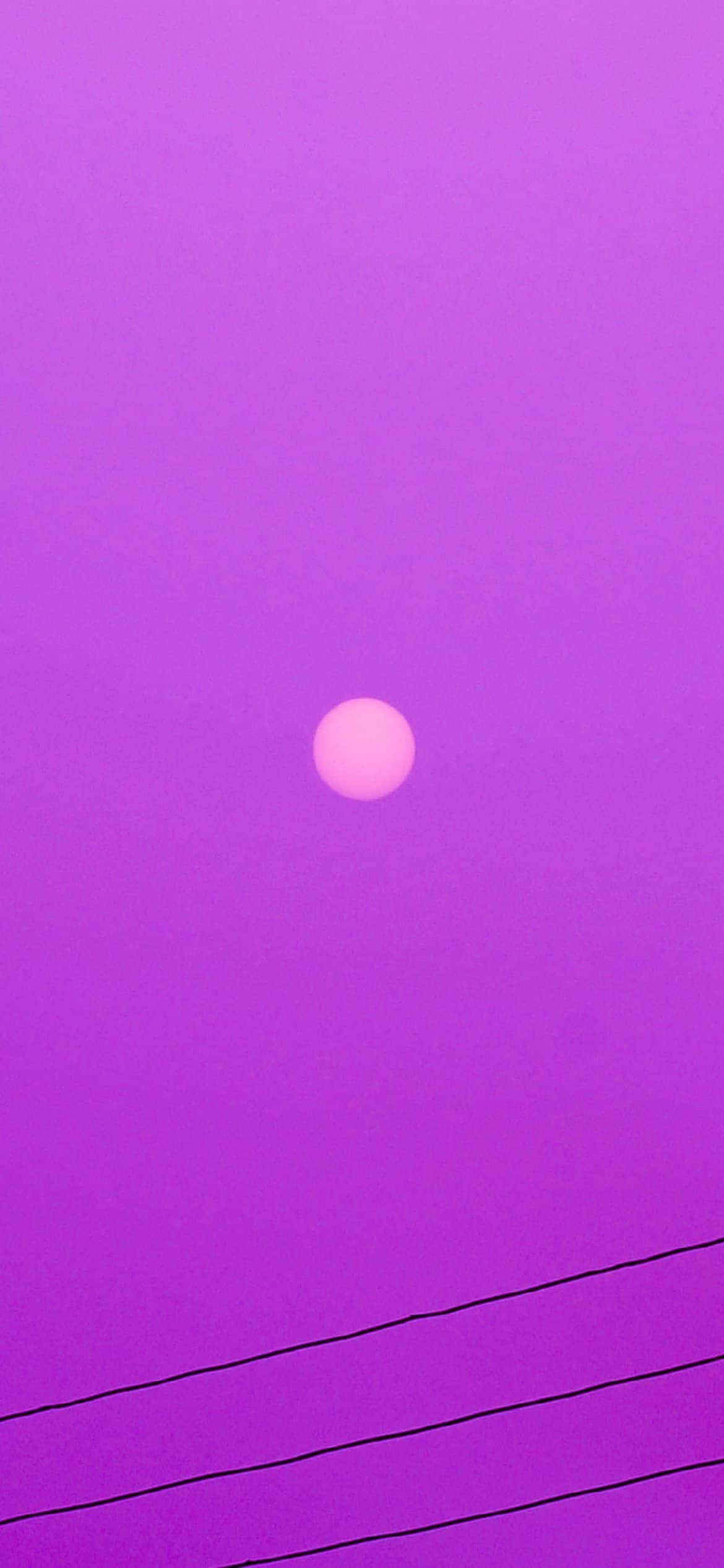 Lavender 桌布 壁紙 — 一顆淡粉紅色的太陽獨自懸掛在由細黑電線框住的鮮豔紫色天空中。