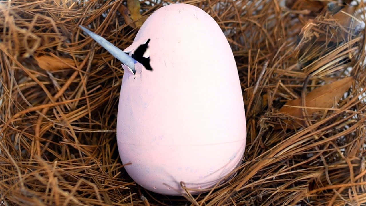 Egg 桌布 壁紙 — 一顆淡粉紅色的蛋藏在乾松針中，一隻小鳥從洞裡鑽出來。