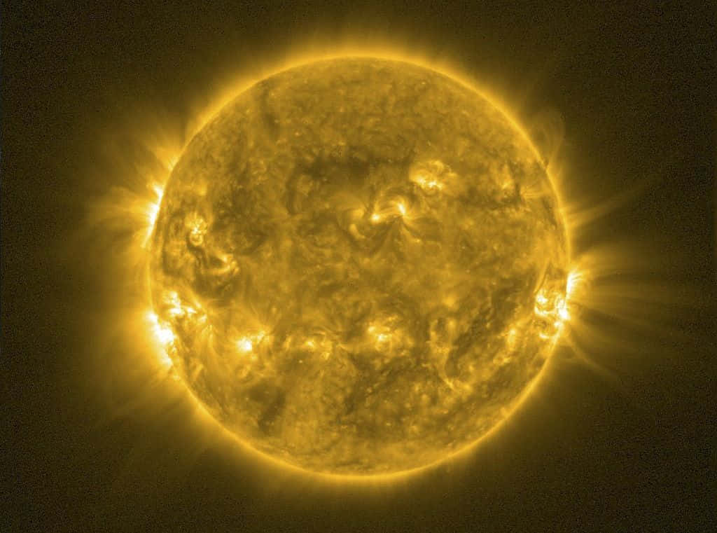 星星動圖 桌布 壁紙 — 一顆熾熱的金色太陽，帶有旋轉的太陽耀斑和日珥，在黑暗虛空中發光。