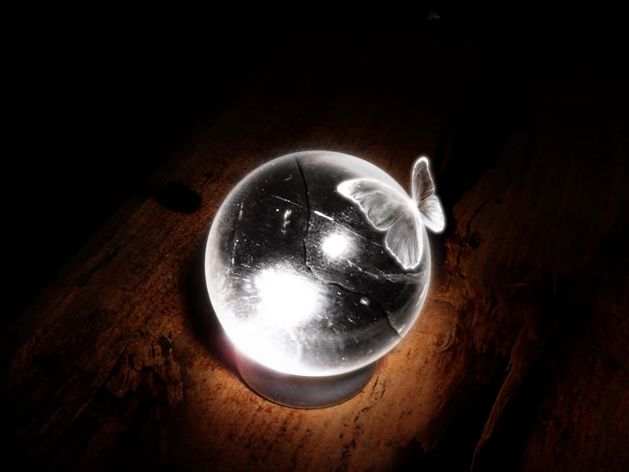 Crystal Ball 桌布 壁紙 — 一顆發光的水晶球，表面棲息著一隻白色蝴蝶，在戲劇性的燈光下放置在深色木質表面上。