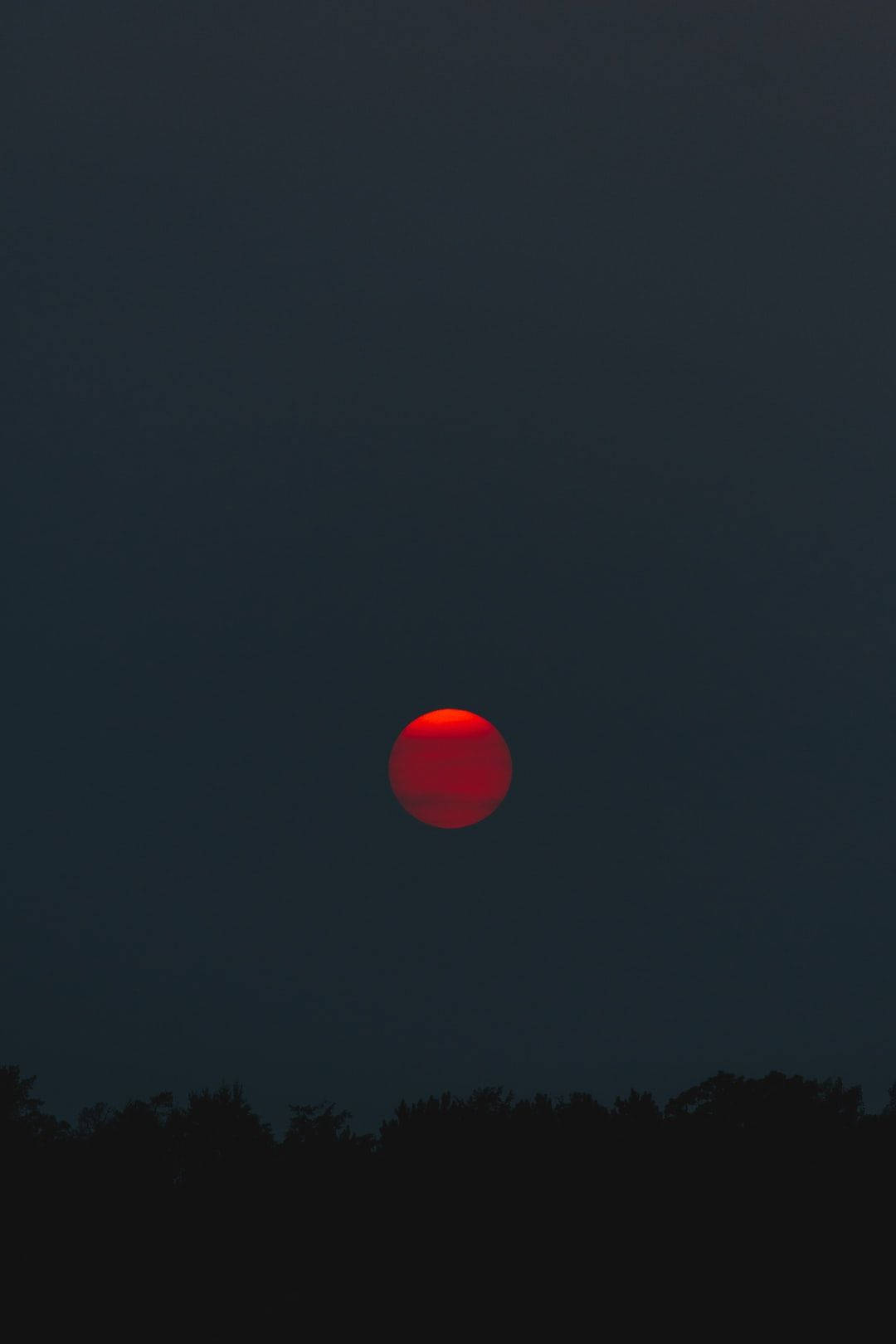 blood moon 桌布 壁紙 — 一顆發光的紅太陽低垂在黑暗的暮色天空中，上方是茂密樹木的剪影。