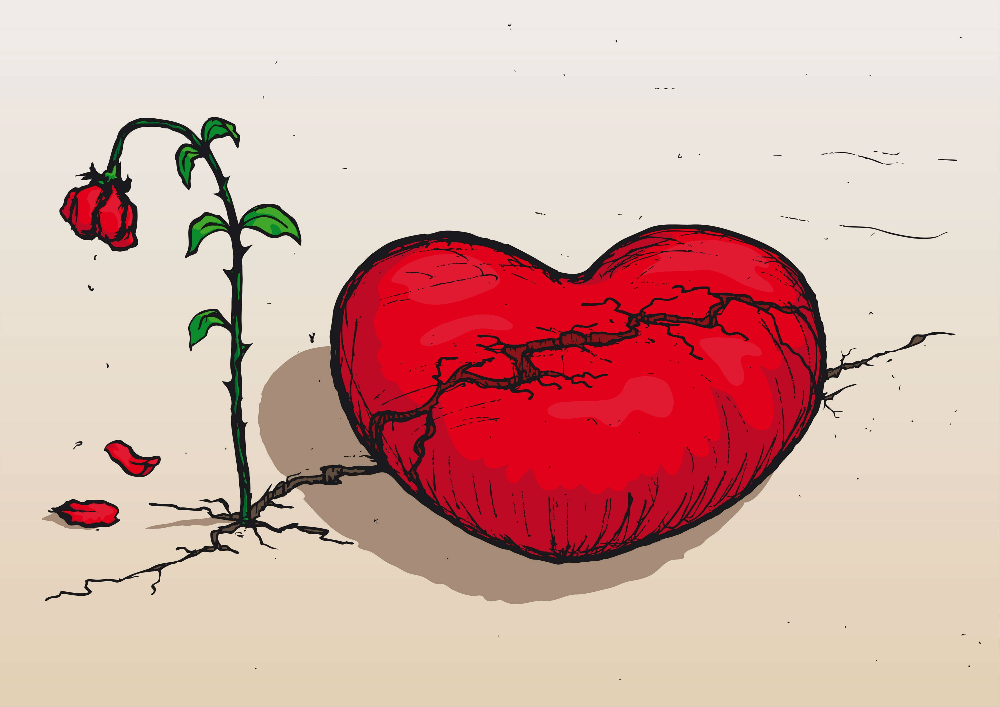 hate 桌布 壁紙 — 一顆破裂的紅心躺在龜裂的土地上，旁邊是一朵凋謝的玫瑰，花瓣散落。