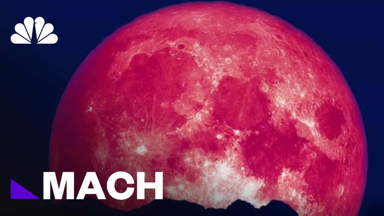 Pink Moon Real 桌布 壁紙 — 一顆紋理鮮明的紅色月亮主宰著深藍色的夜空，可見隕石坑和表面細節。