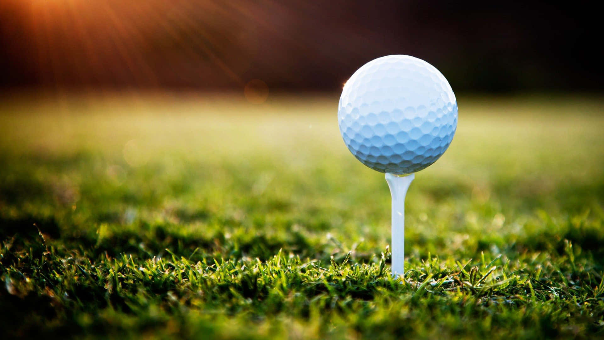 Golf Course 桌布 壁紙 — 一顆純淨白色高爾夫球放在球座上，在翠綠球道上閃耀著金色夕陽的光芒。