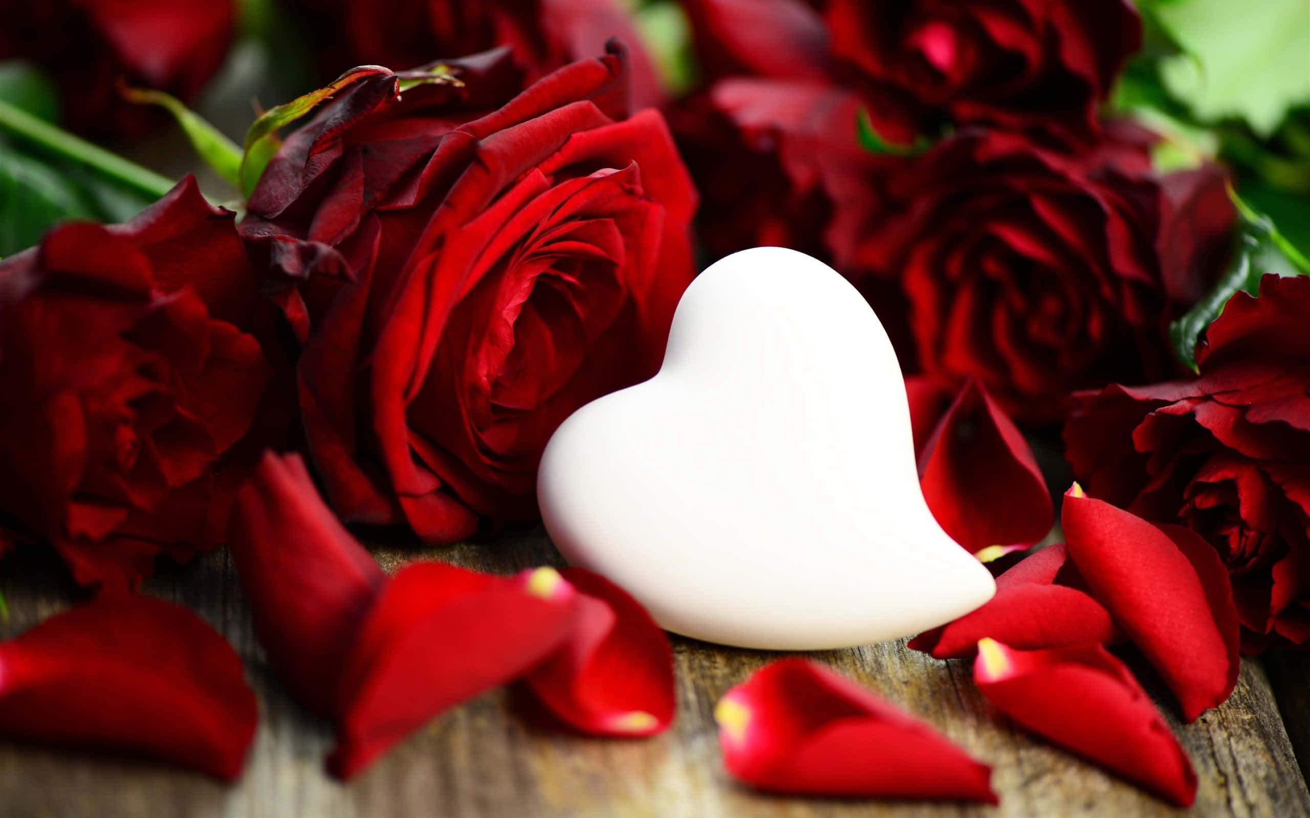 Rose Heart 桌布 壁紙 — 一顆純淨的白心躺在深紅玫瑰和散落的花瓣之間，置於質樸的木質表面上。