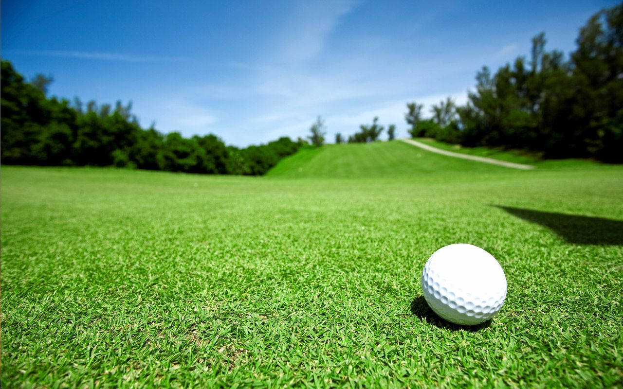Golfing 桌布 壁紙 — 一顆純淨的白色高爾夫球，在晴朗的藍天下，放在生機勃勃的綠色草地上，遠處有樹木。