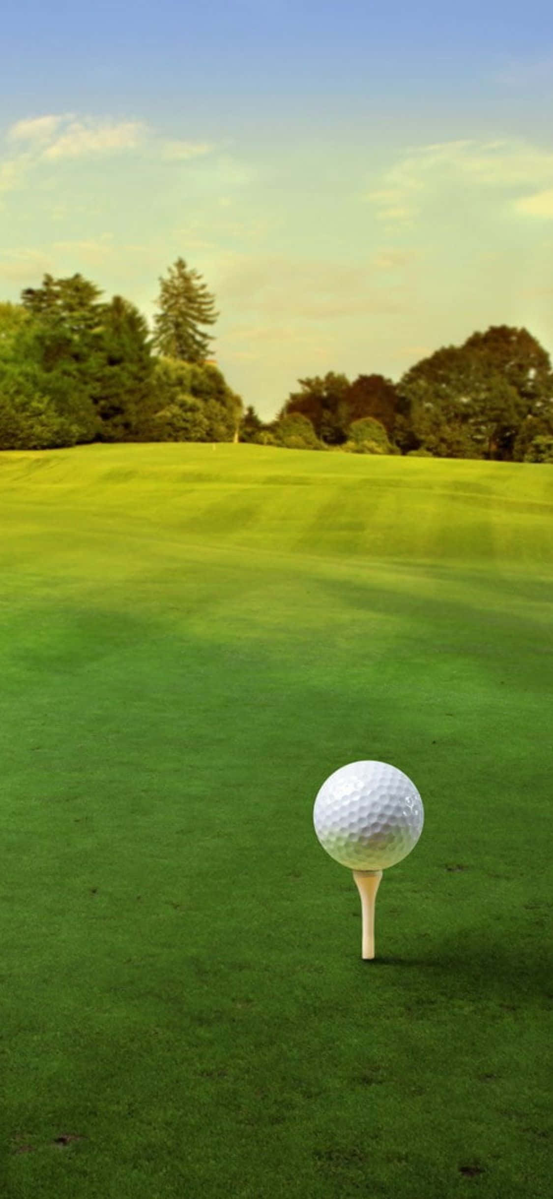 iPhone X Golf Course 桌布 壁紙 — 一顆純淨的白高爾夫球放在球座上，背景是翠綠的球道、樹木和柔和天空。