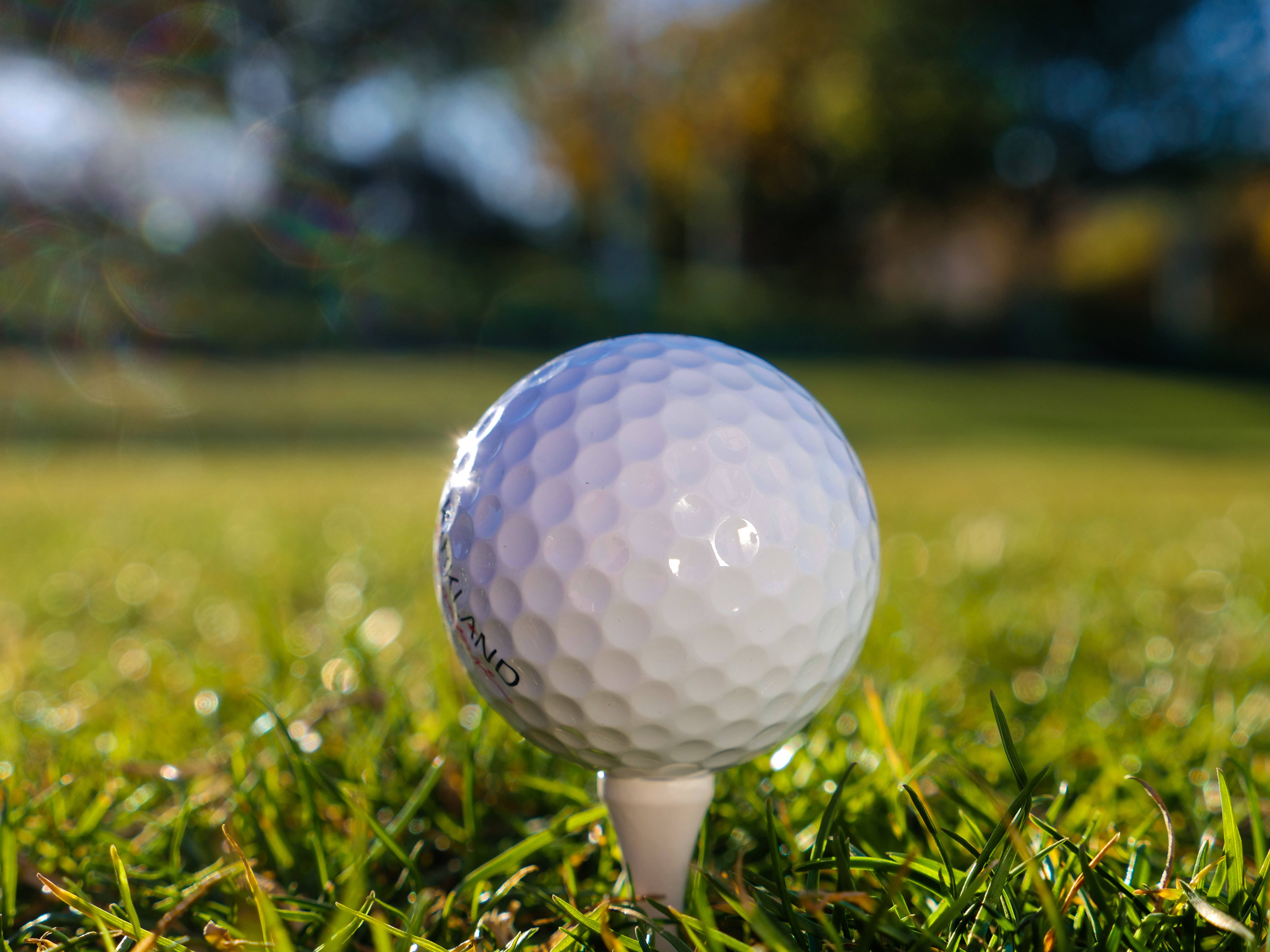 4K Golf 桌布 壁紙 — 一顆純白的高爾夫球放在球座上，在陽光照耀的綠色草地上閃耀，背景是模糊的秋樹。