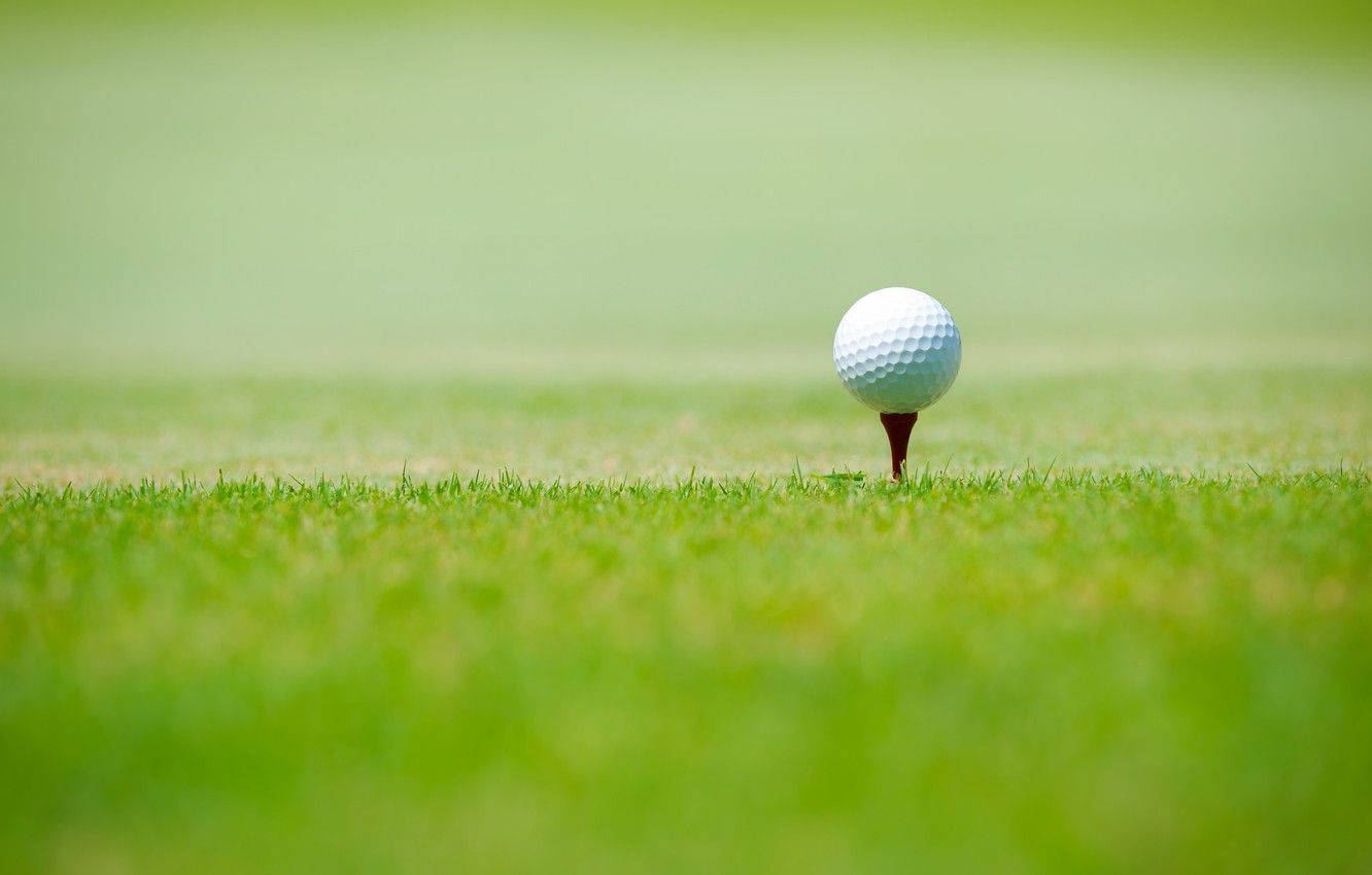 Golfing 桌布 壁紙 — 一顆純白高爾夫球放在紅色球座上，位於茂盛綠色球道上，在明亮日光下。