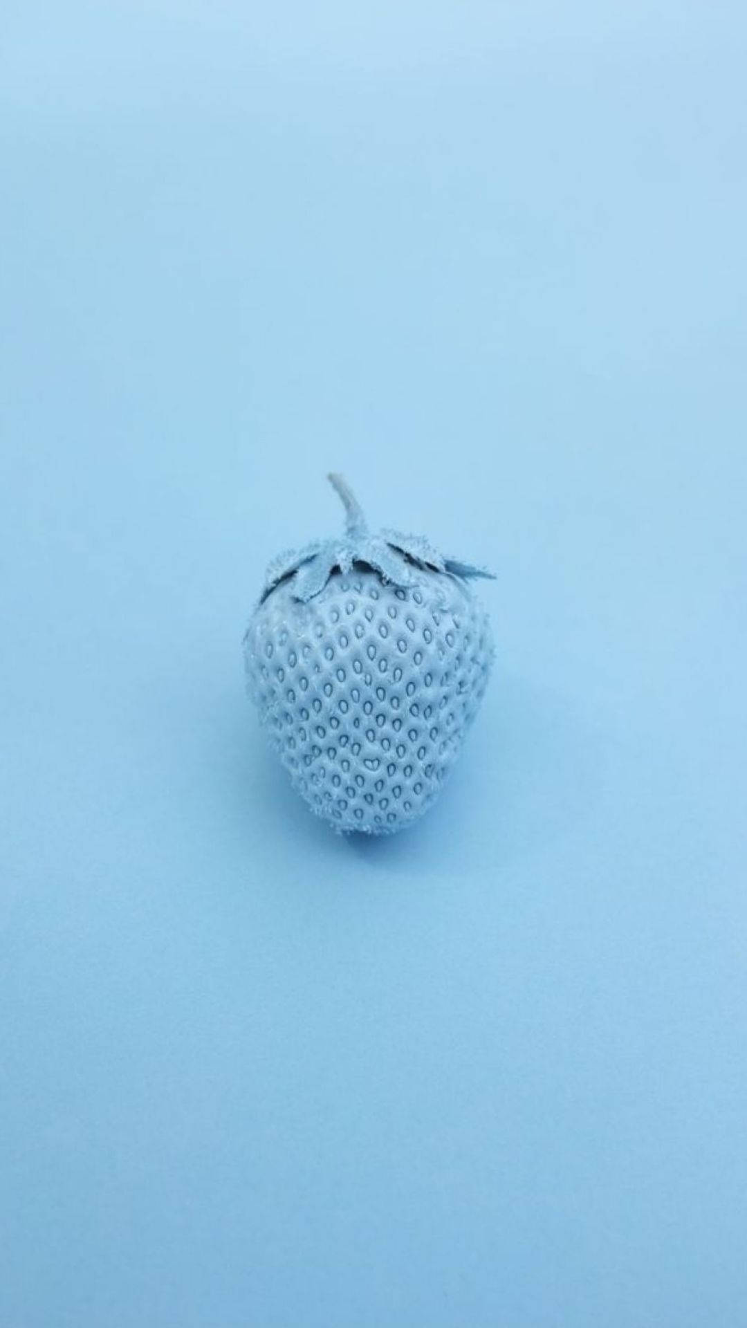 嬰兒藍 桌布 壁紙 — 一顆結霜的藍色草莓置於柔和的粉藍色背景中央。