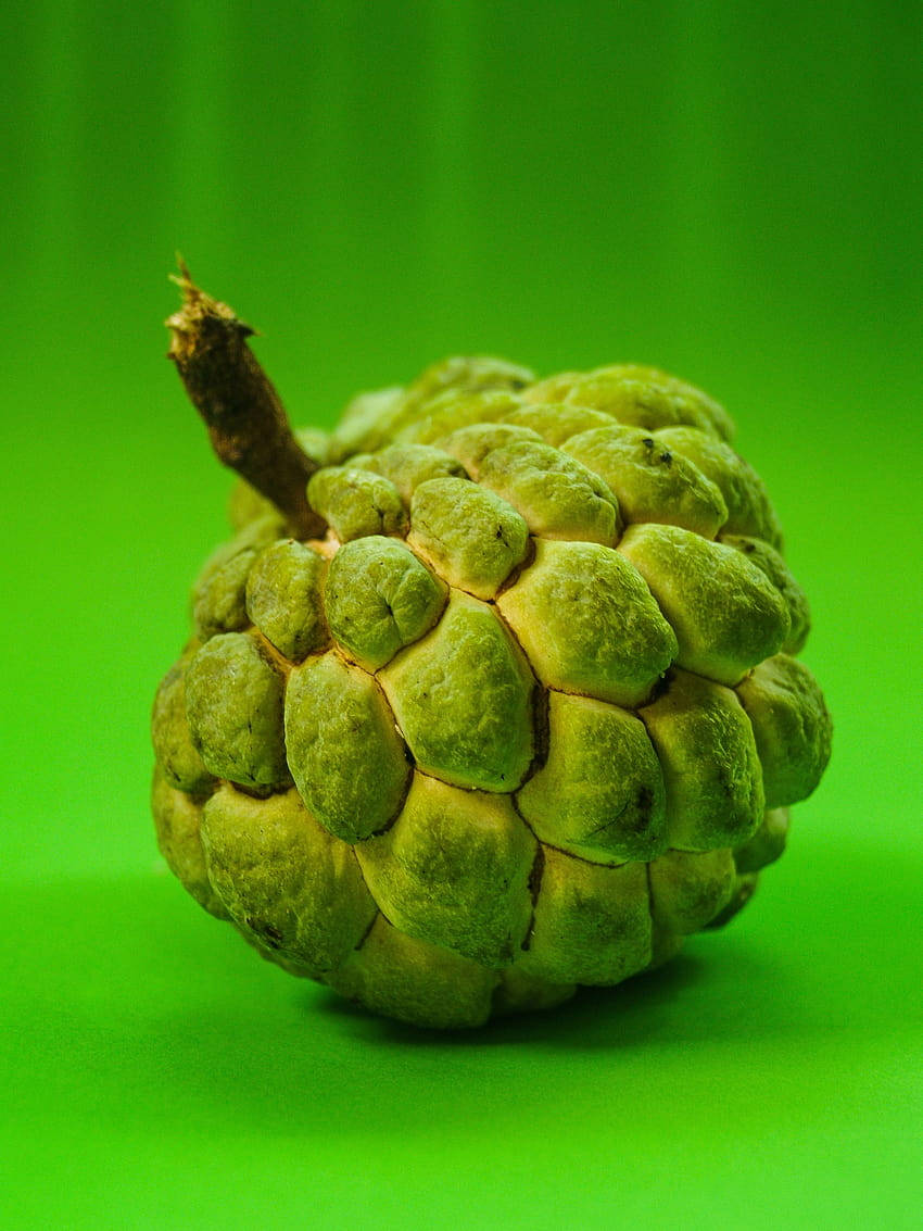 Fruit 桌布 壁紙 — 一顆綠色奶油蘋果，表皮凹凸不平有紋理，帶有短莖，居中放置在充滿活力的純綠色背景上。