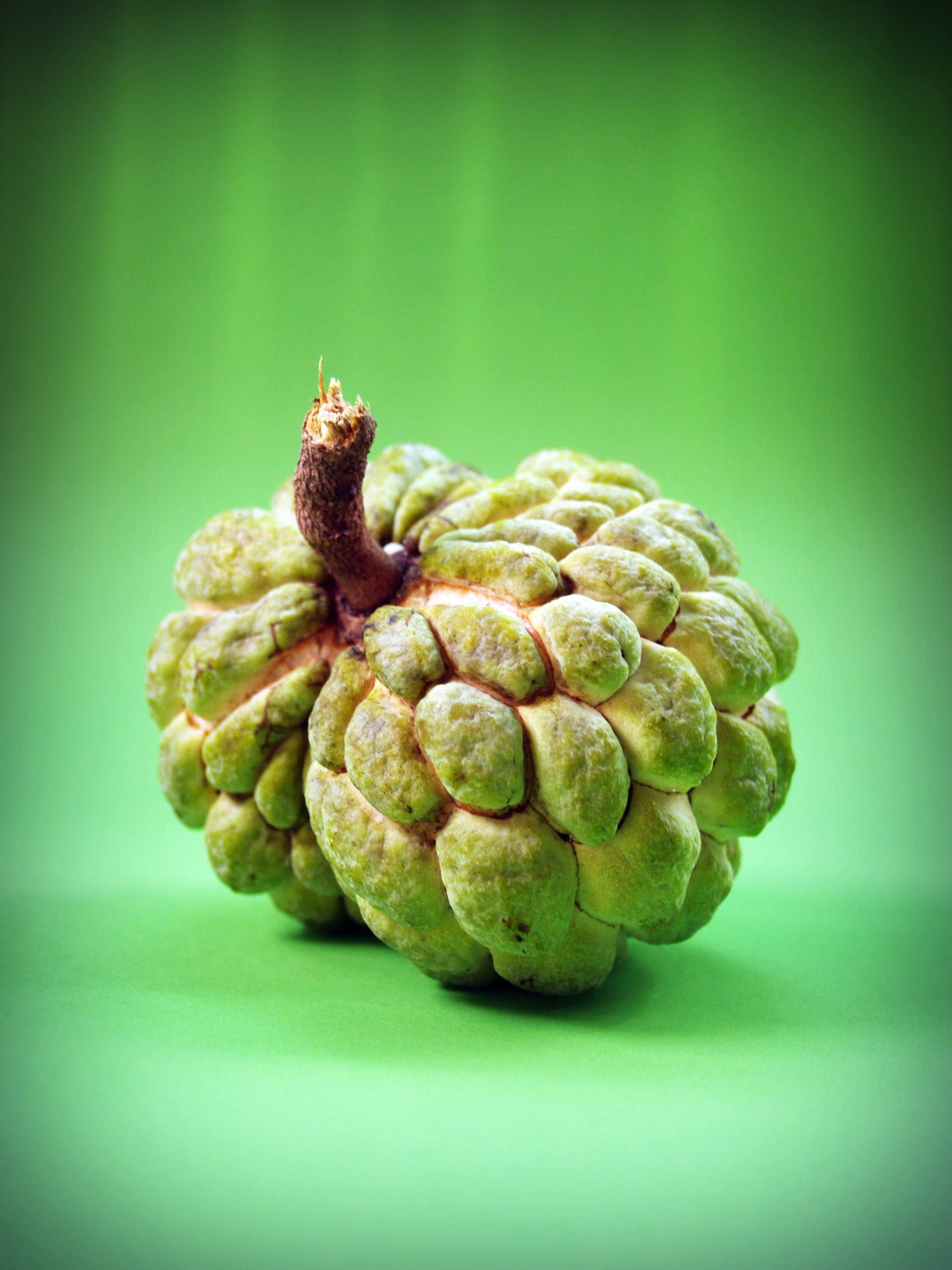 Fruit 桌布 壁紙 — 一顆綠色的custard apple，表面凹凸不平，帶有棕色莖，位於充滿活力的綠色漸變背景中央。