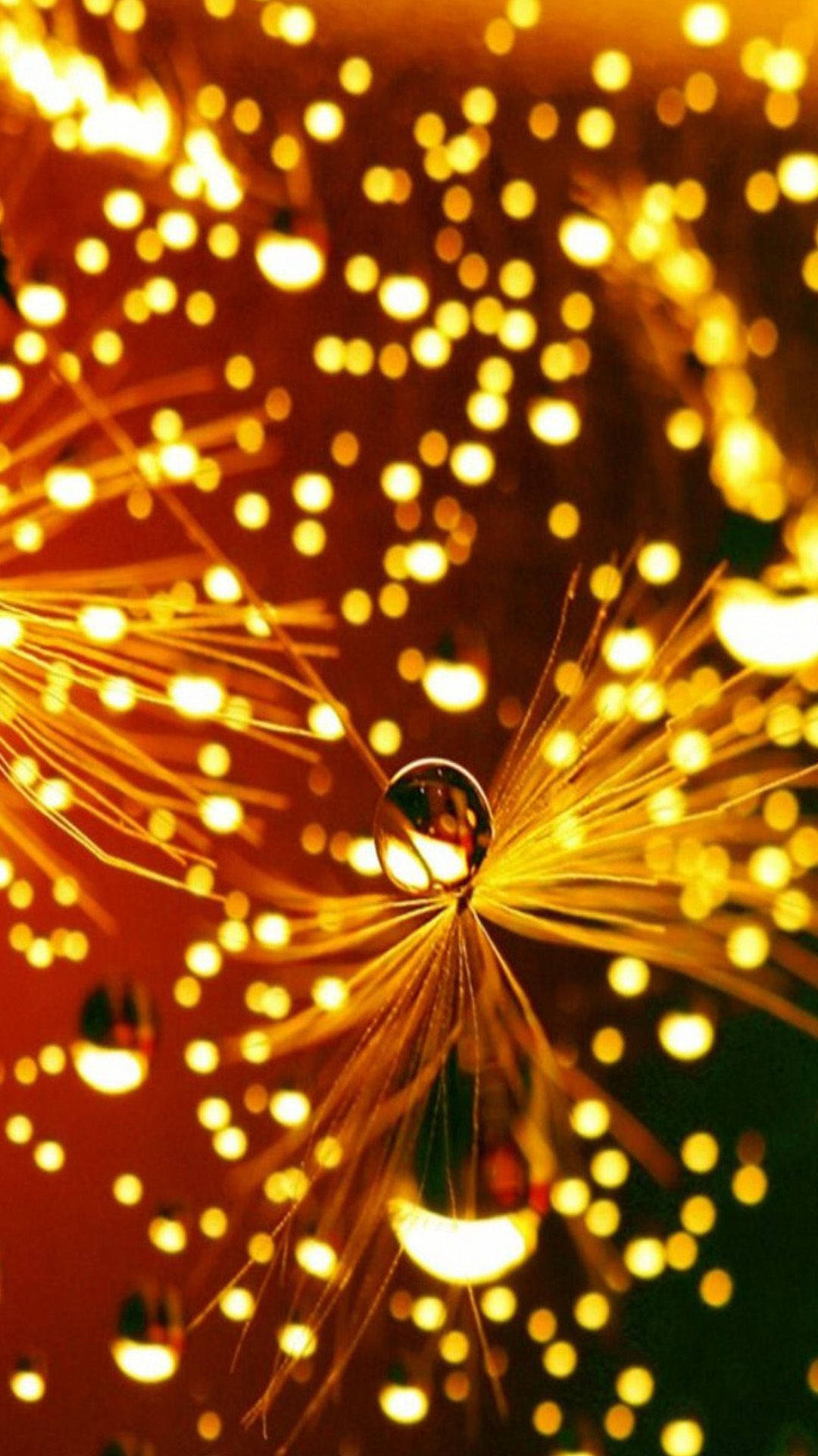 Christmas Lights iPhone 桌布 壁紙 — 一顆蒲公英種子頭上的單一露珠，在夢幻般的特寫中反射出溫暖的金色散景光。